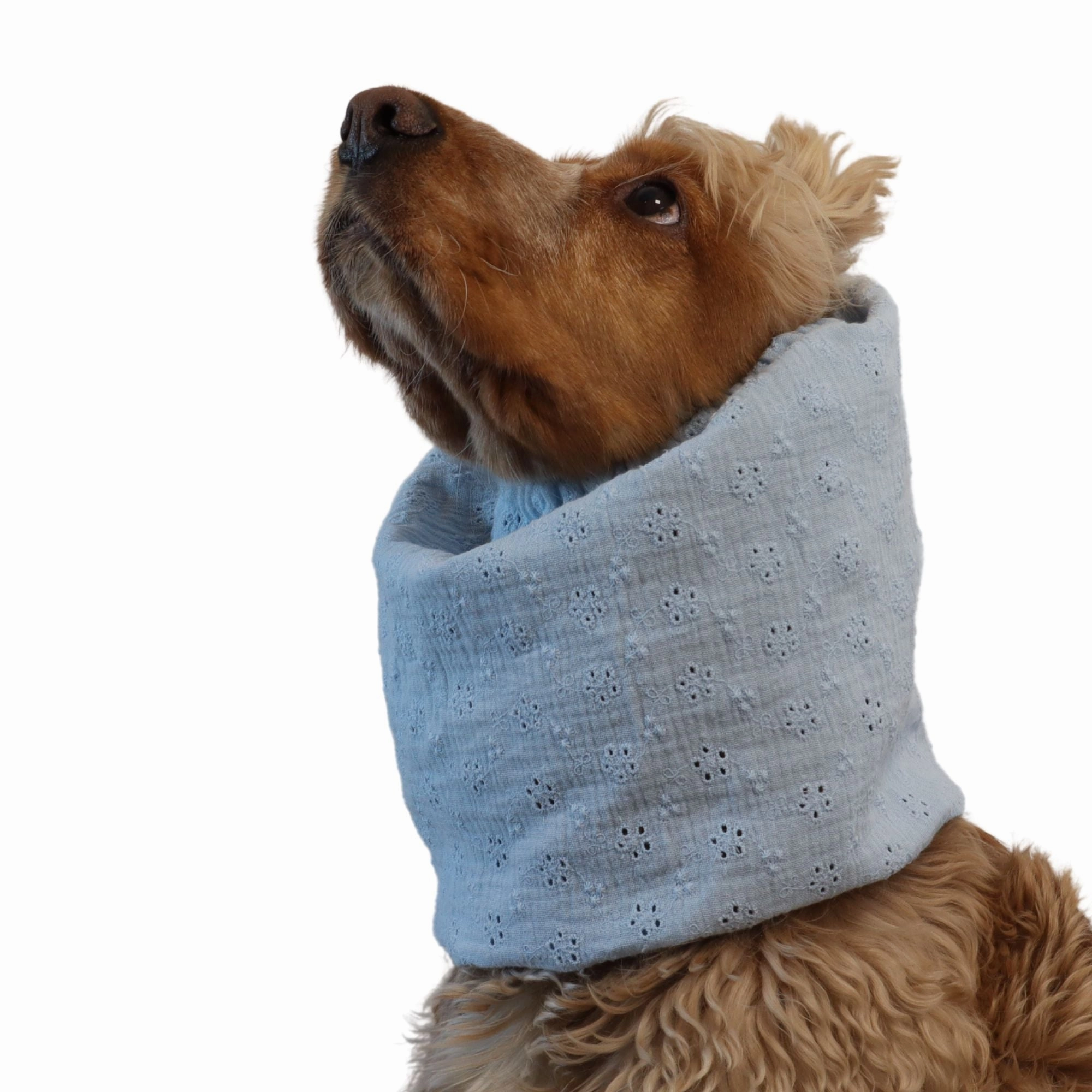 Cotton (Muslin) Dog Snood | Pastel Blue