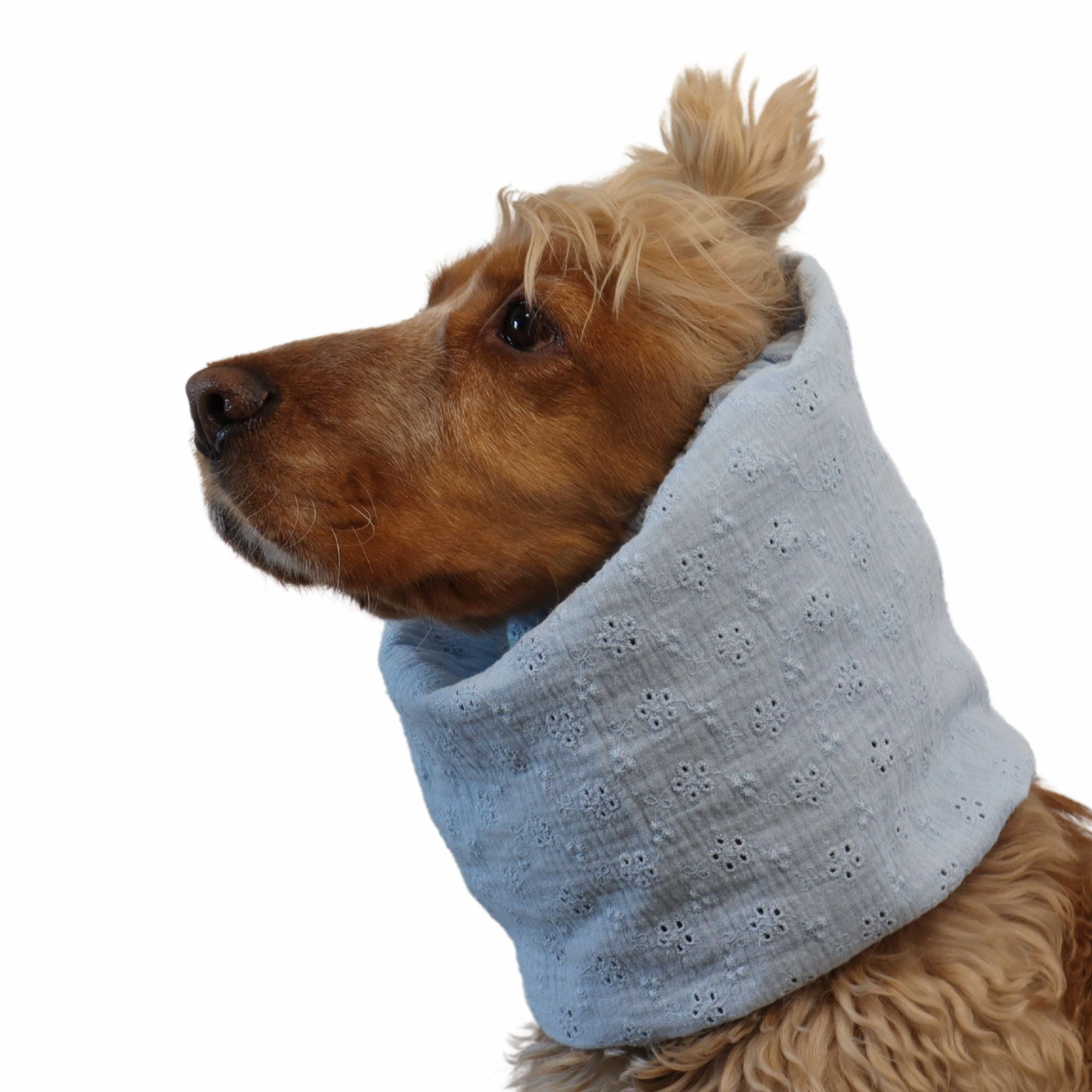 Cotton (Muslin) Dog Snood | Pastel Blue