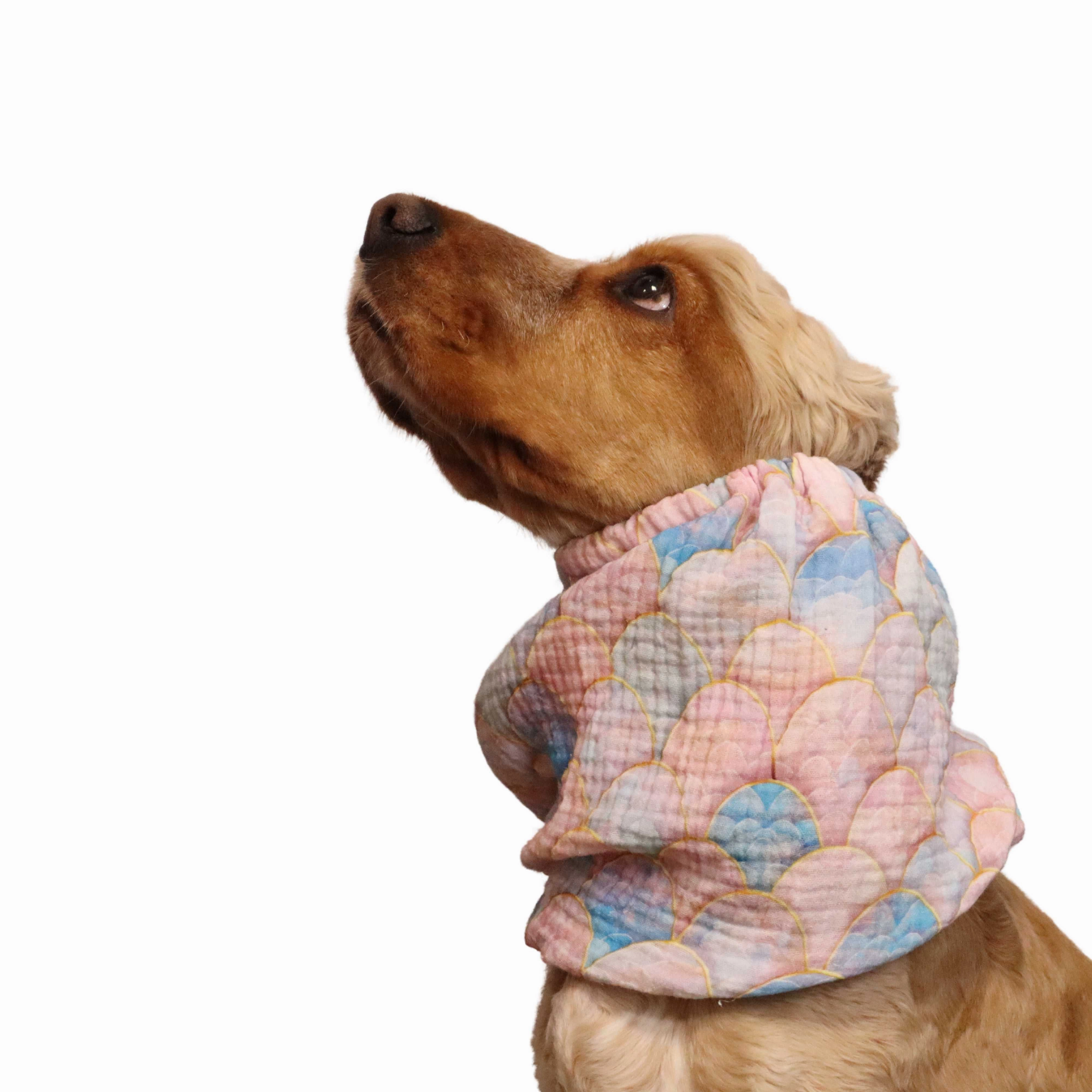 Cotton (Muslin) Dog Snood | Pastel Scale