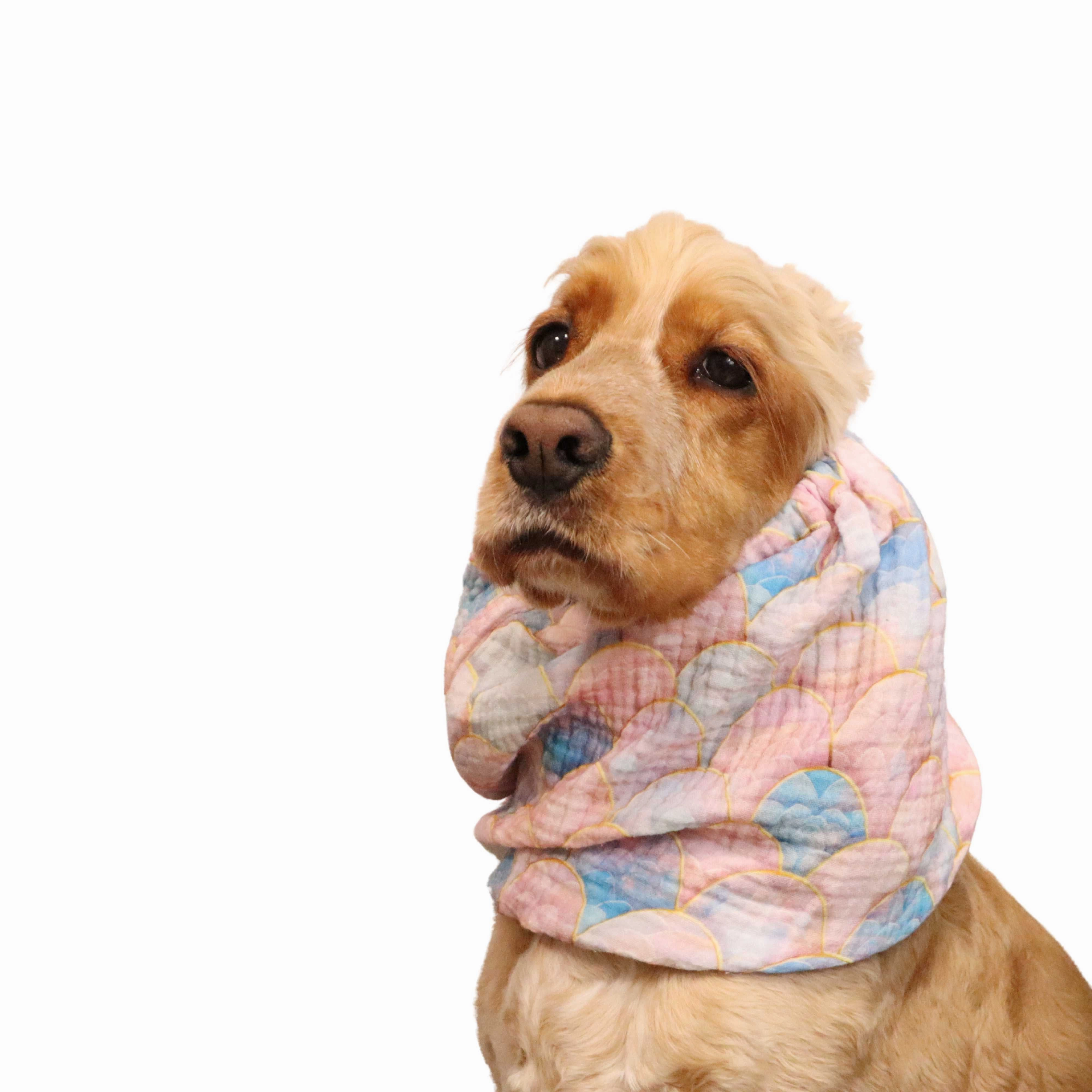 Cotton (Muslin) Dog Snood | Pastel Scale