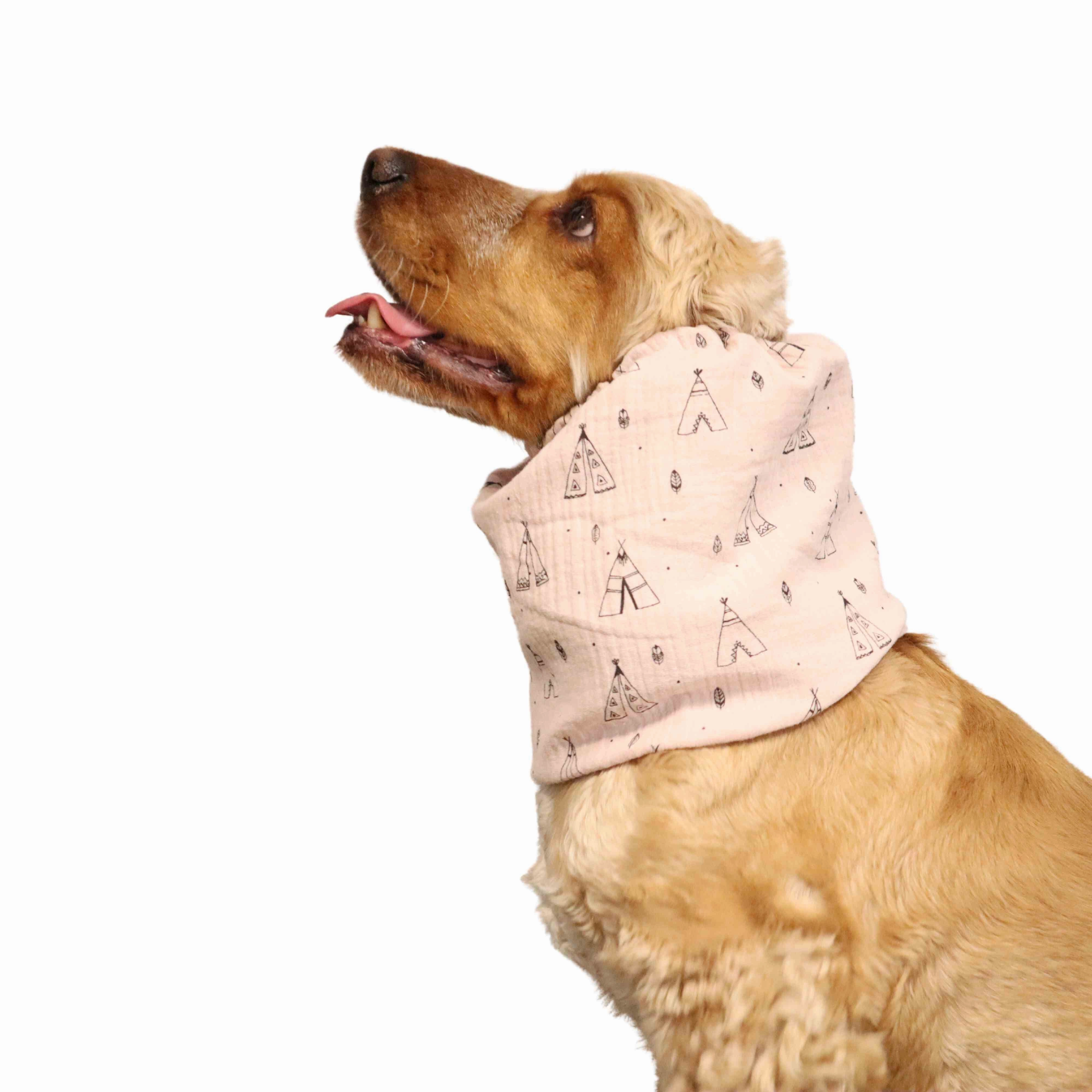 Cotton (Muslin) Dog Snood | Pastel Wigwams