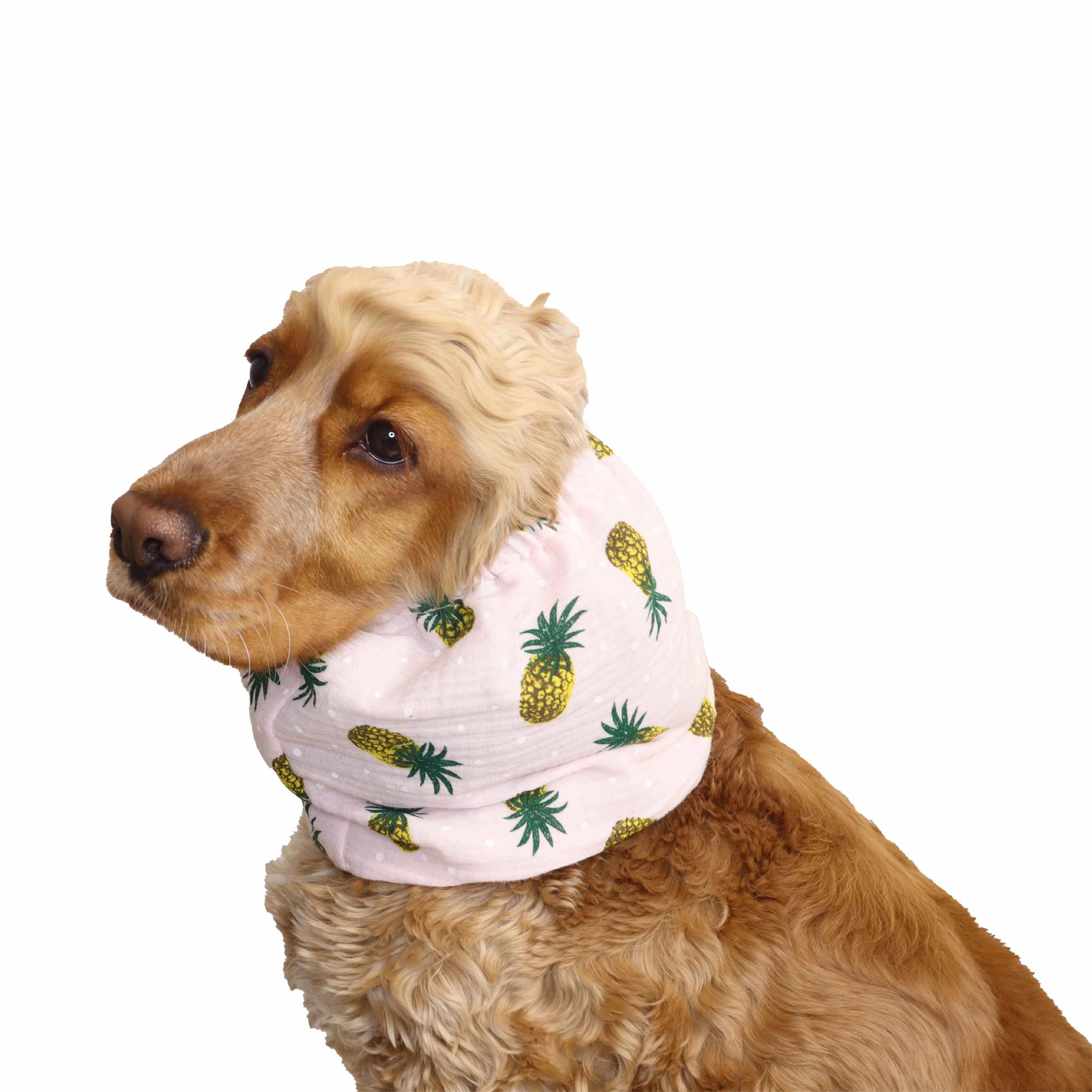 Cotton (Muslin) Dog Snood | Pineapple