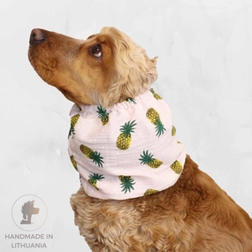 Cotton (Muslin) Dog Snood | Pineapple