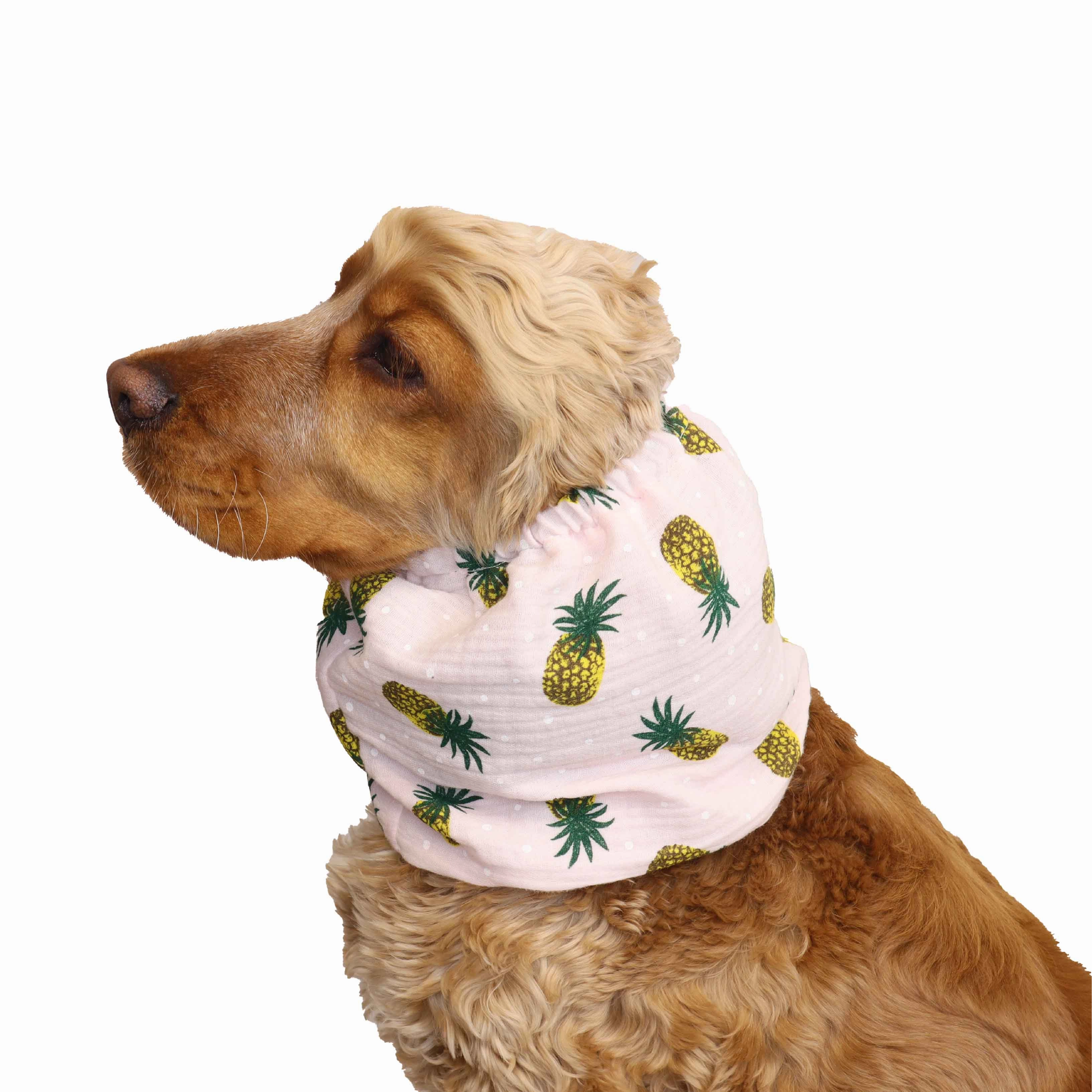 Cotton (Muslin) Dog Snood | Pineapple
