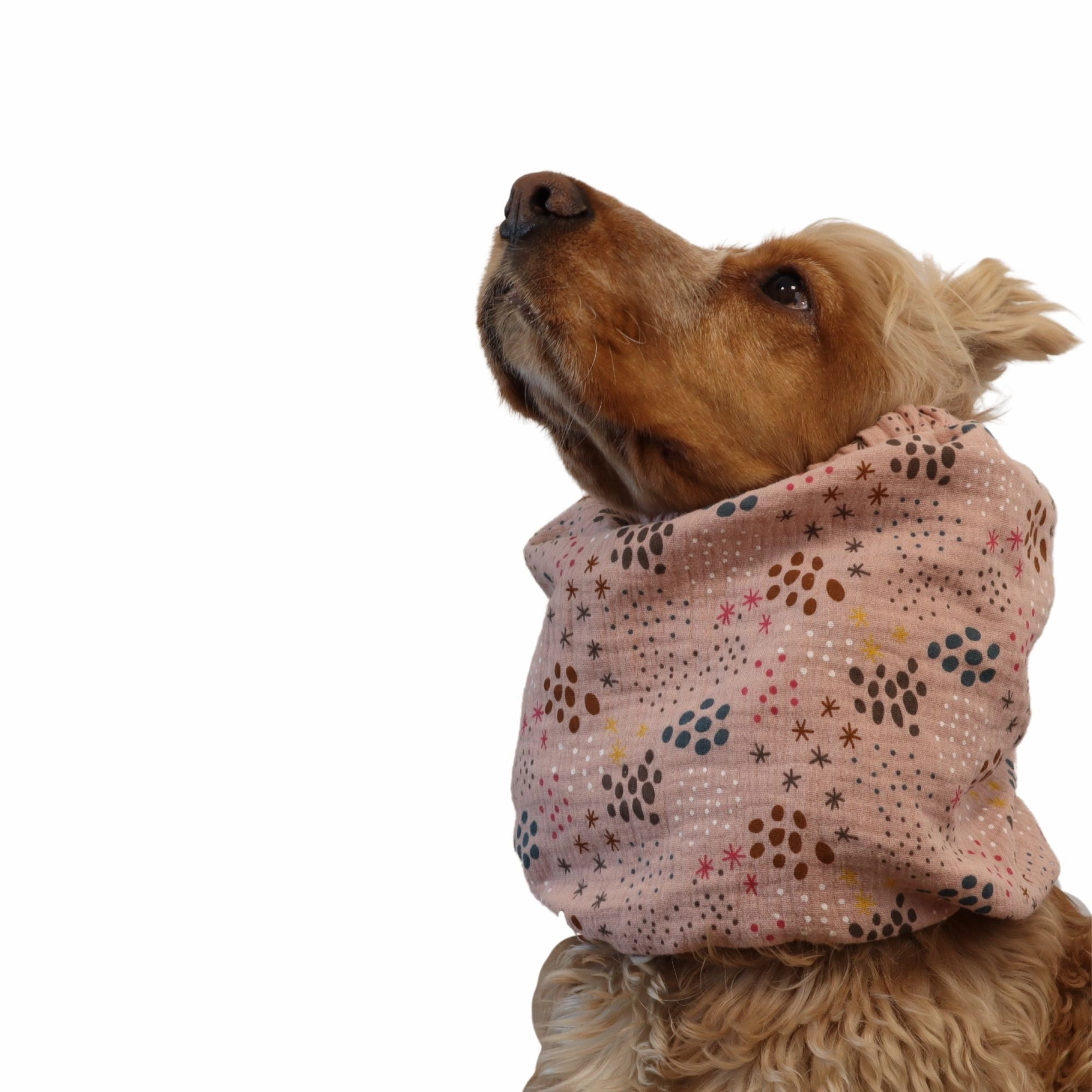 Cotton (Muslin) Dog Snood | Pinky