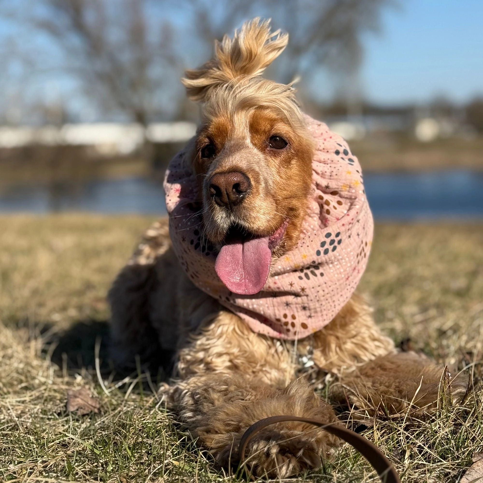 Cotton (Muslin) Dog Snood | Pinky