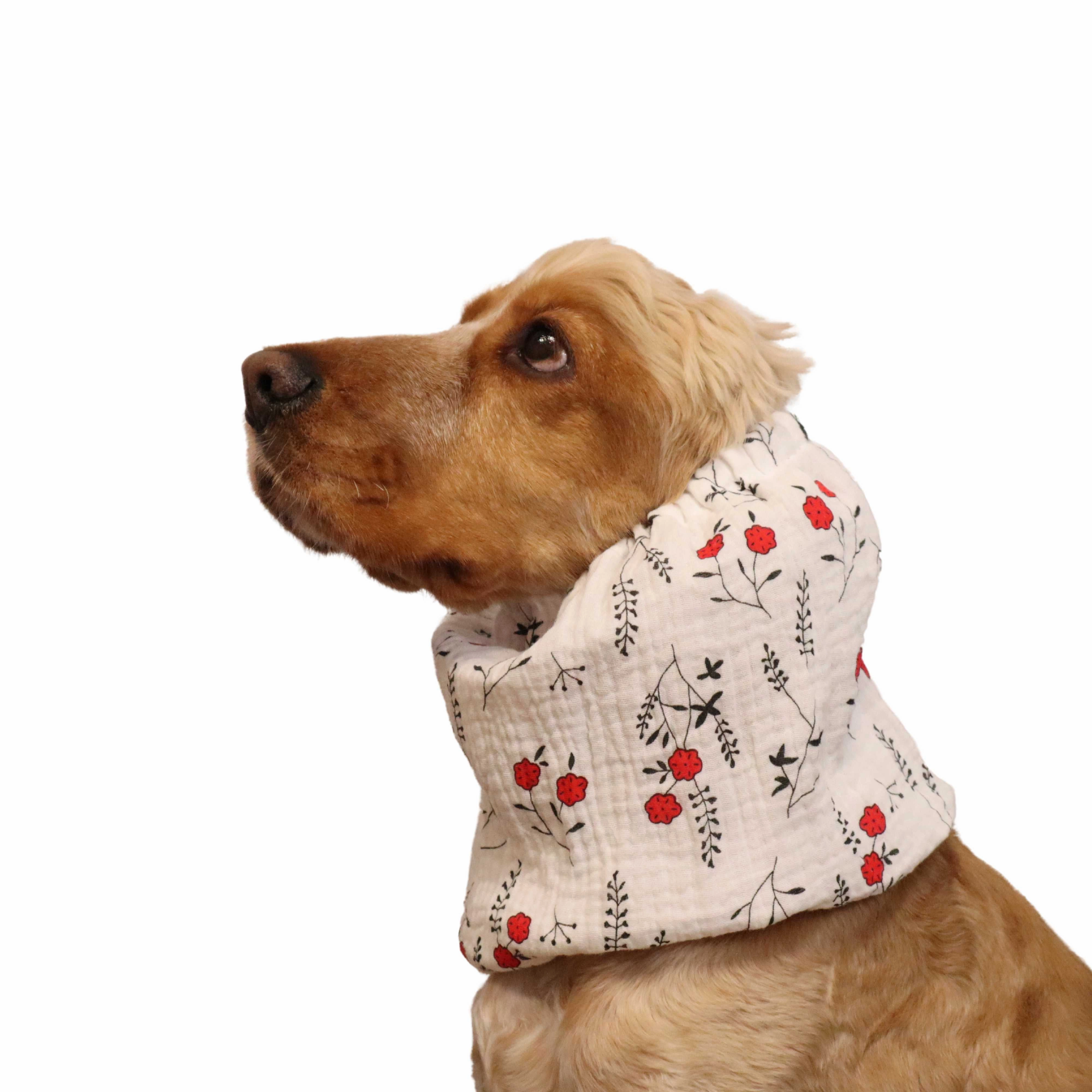 Cotton (Muslin) Dog Snood | Poppies