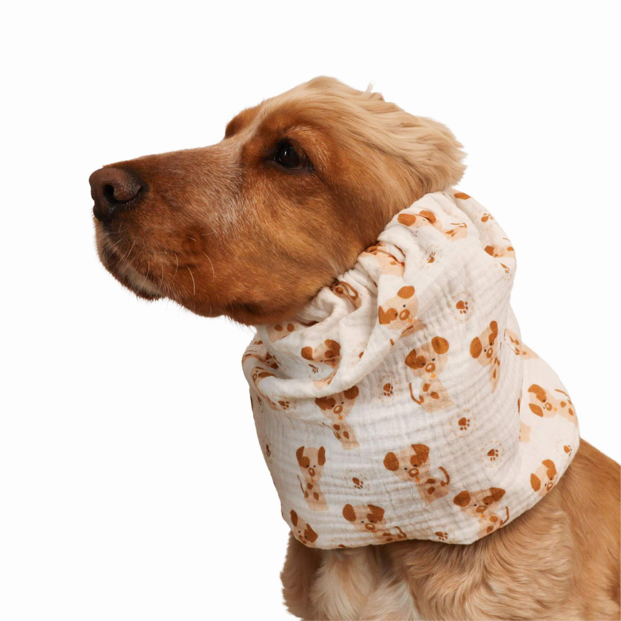 Cotton (Muslin) Dog Snood | Puppies