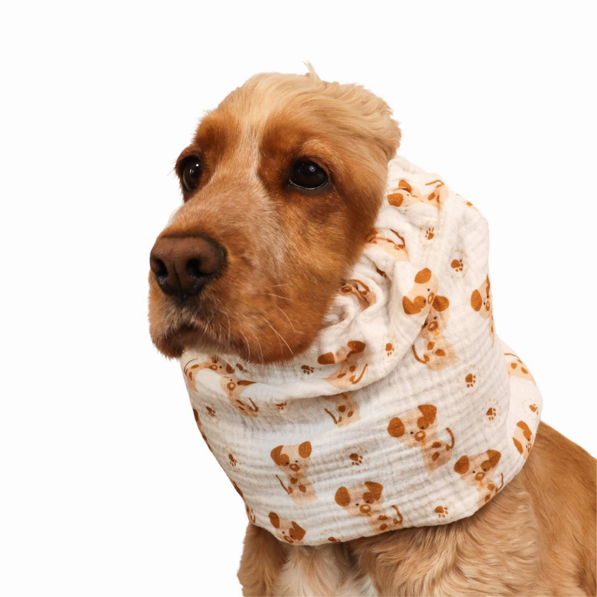 Cotton (Muslin) Dog Snood | Puppies