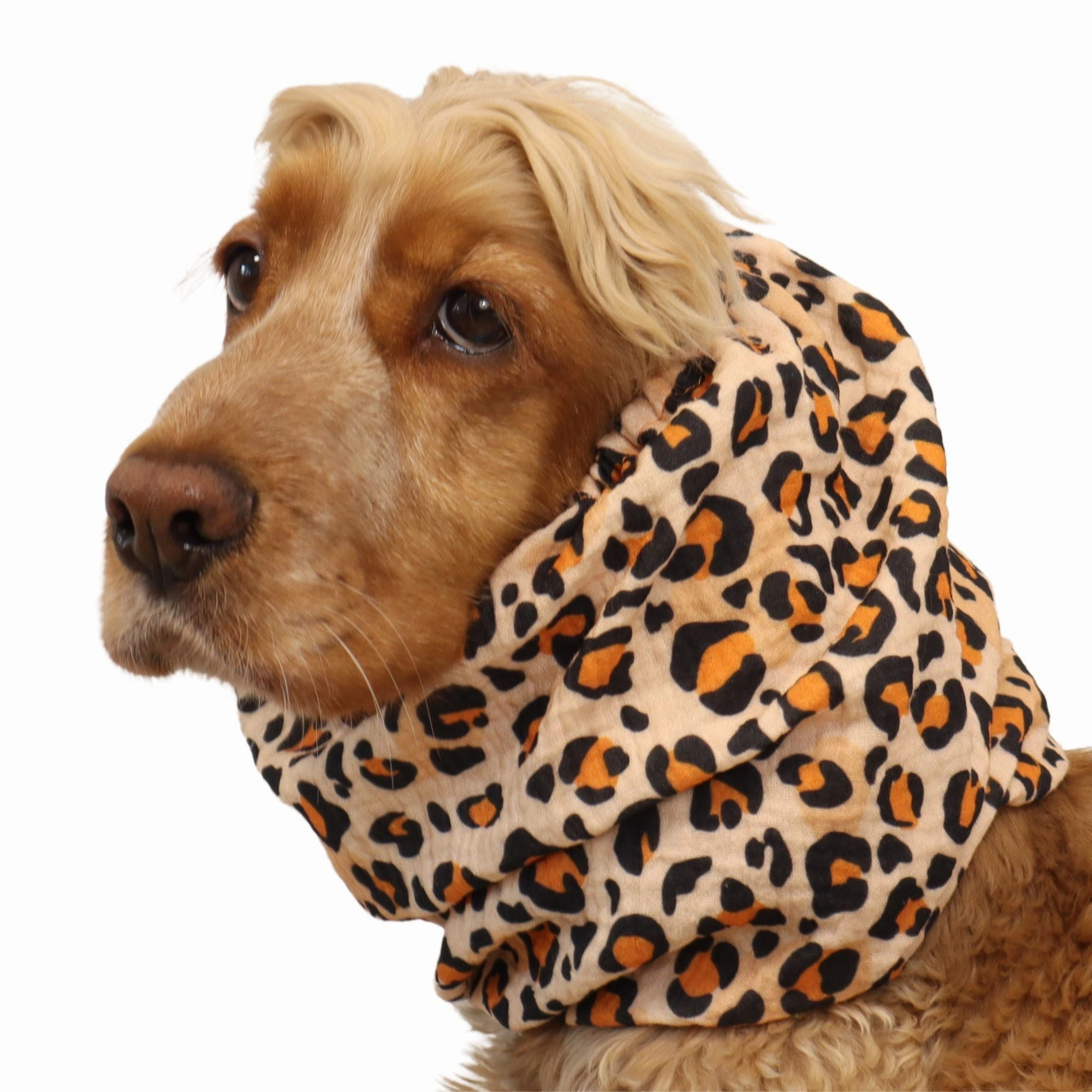 Cotton (Muslin) Dog Snood | Raaarrr