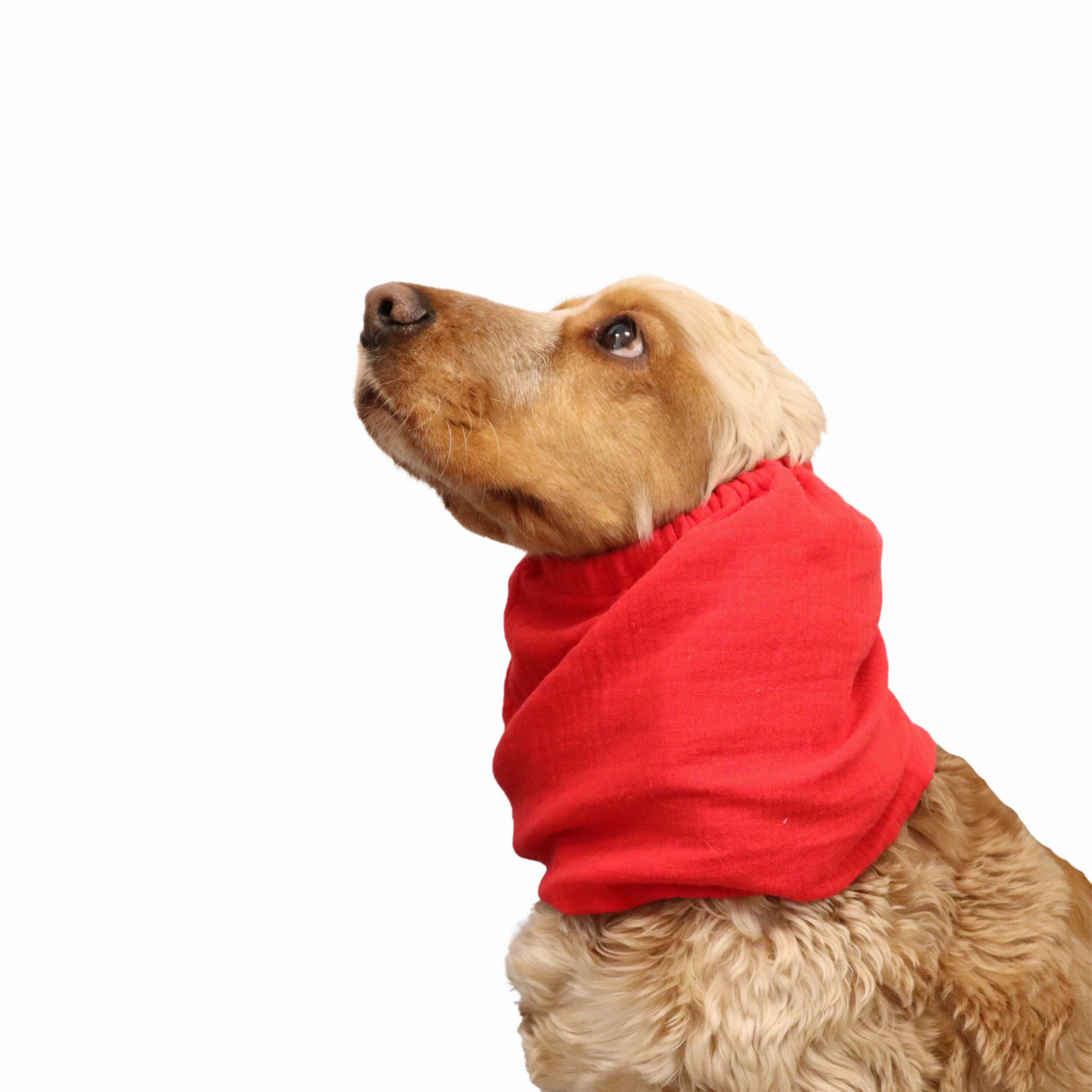 Cotton (Muslin) Dog Snood | Red