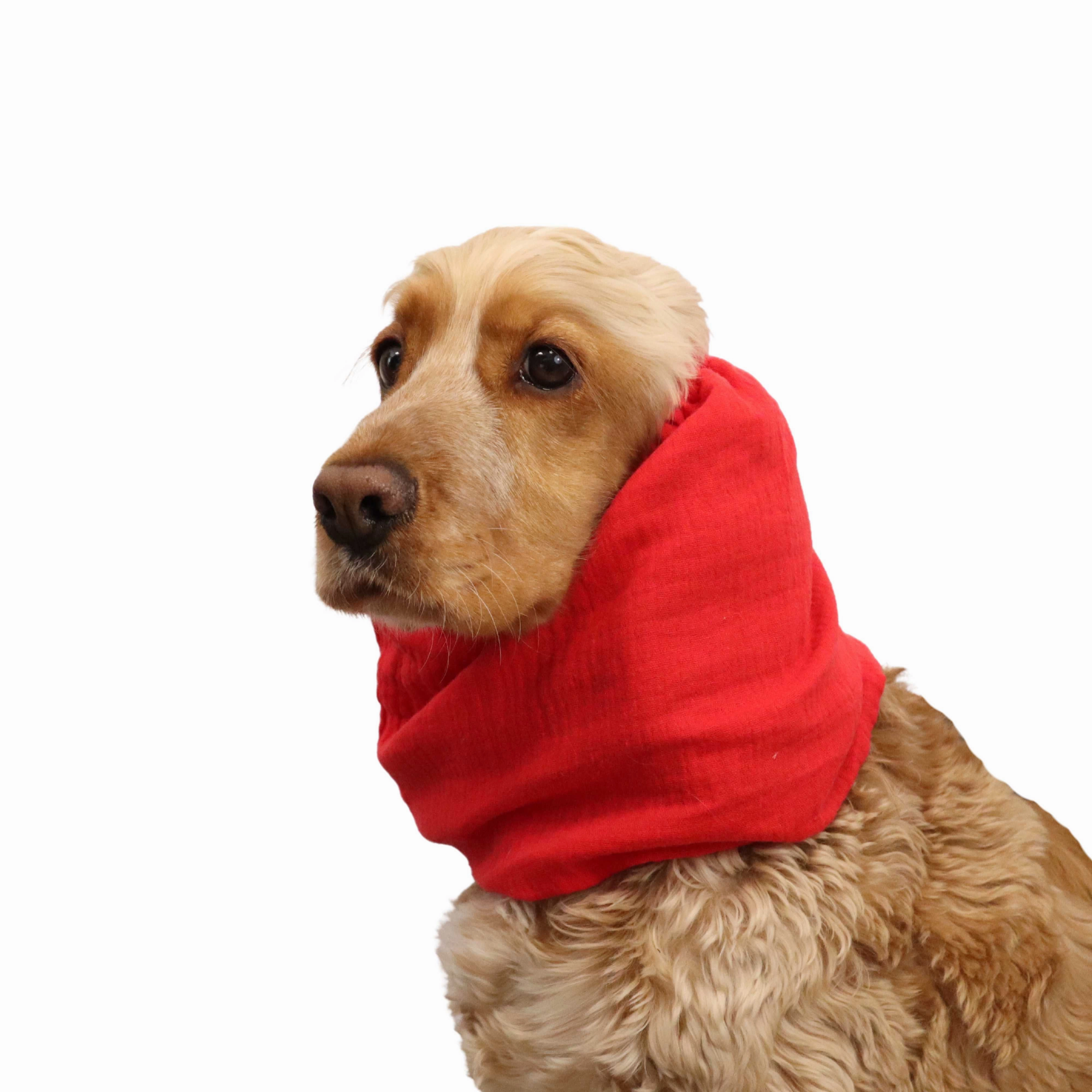 Cotton (Muslin) Dog Snood | Red