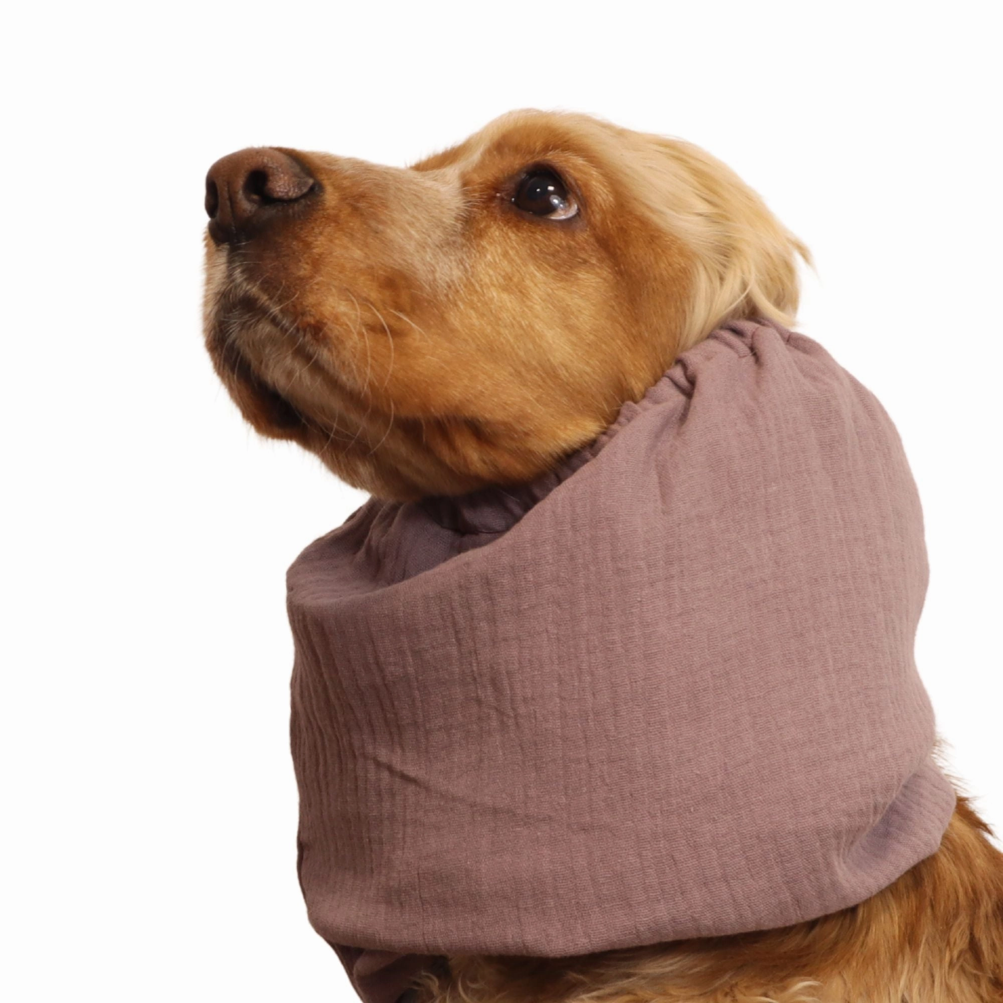 Cotton (Muslin) Dog Snood | Ruby