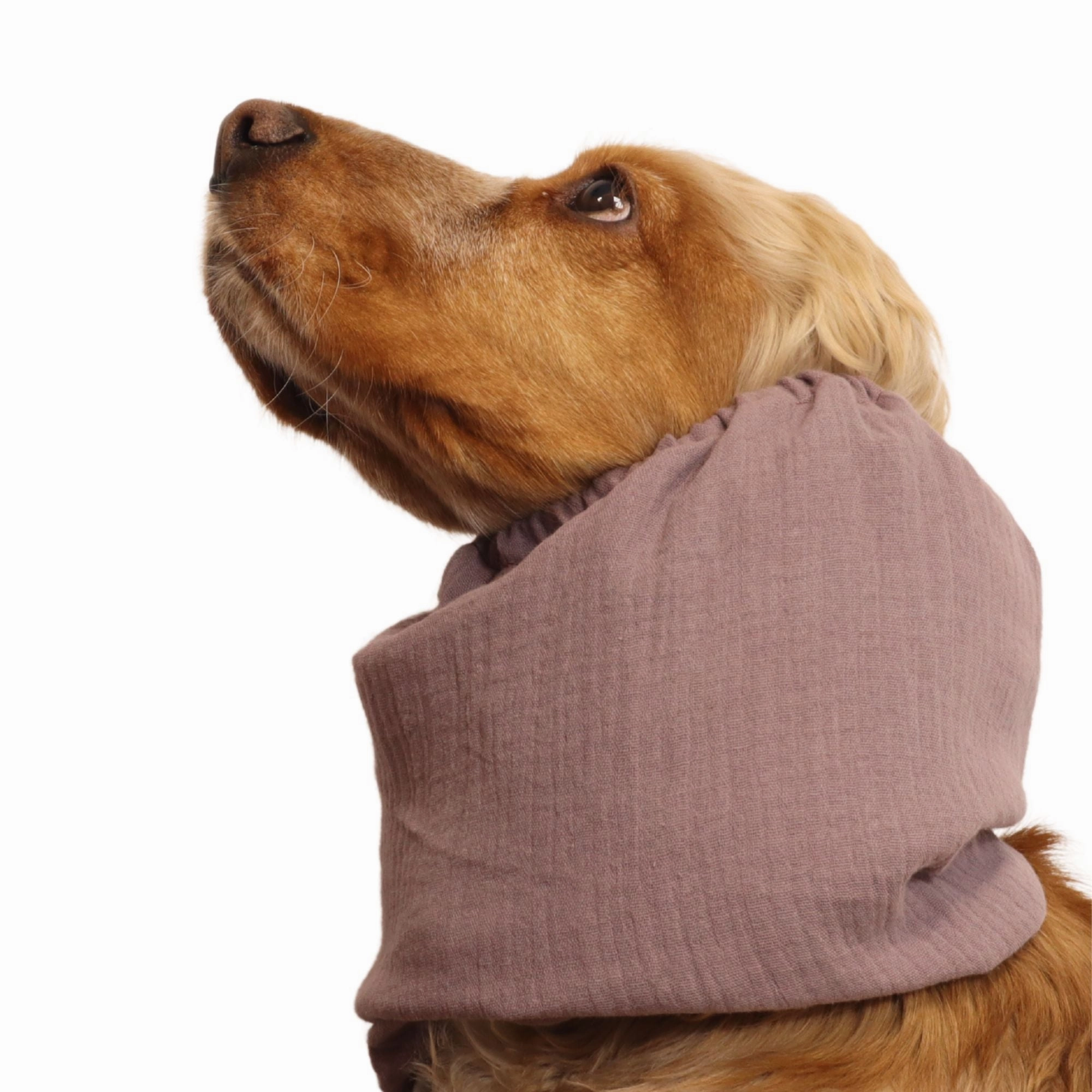 Cotton (Muslin) Dog Snood | Ruby