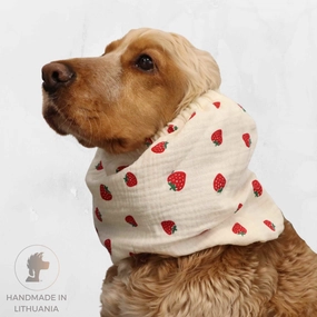 Cotton (Muslin) Dog Snood | Strawberries