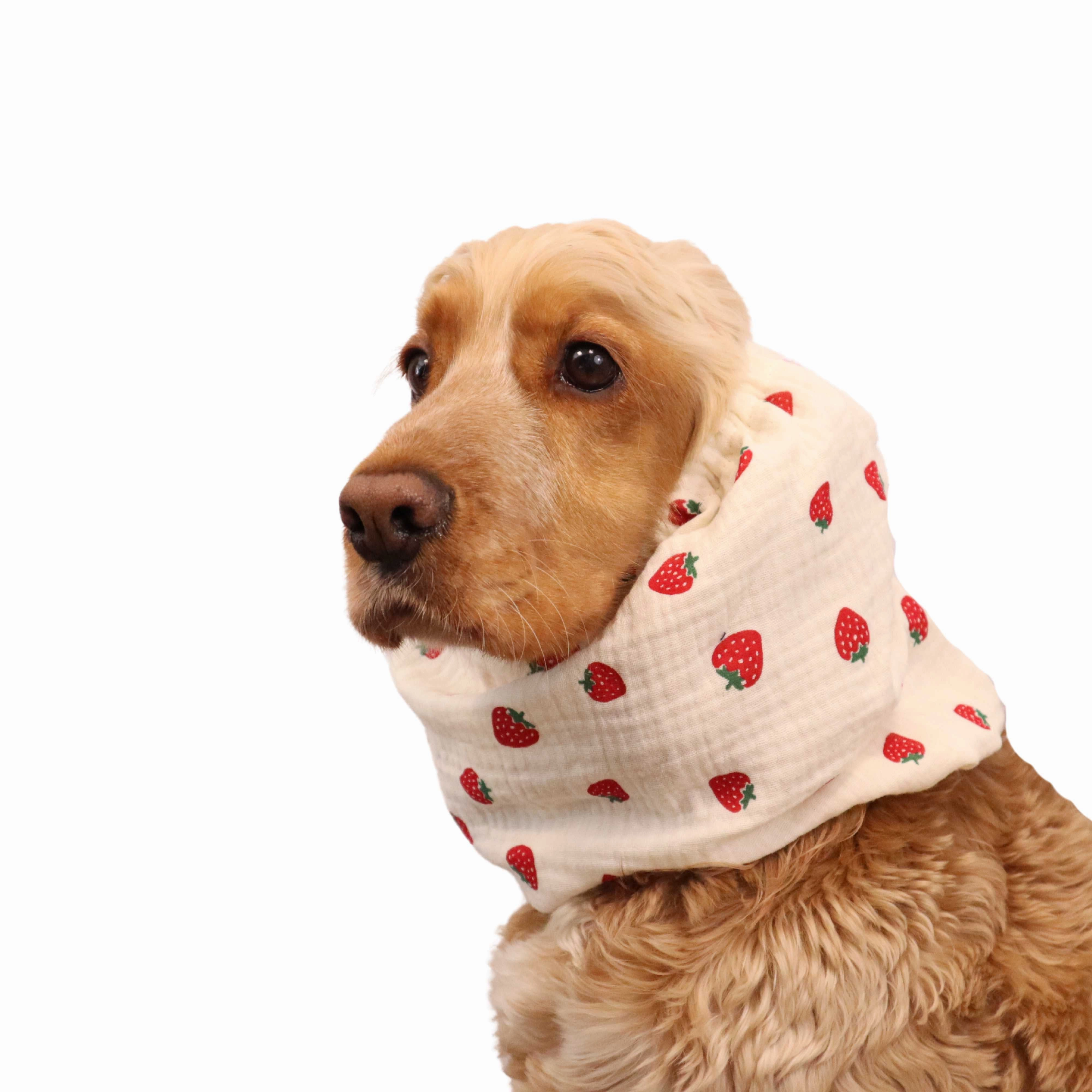 Cotton (Muslin) Dog Snood | Strawberries