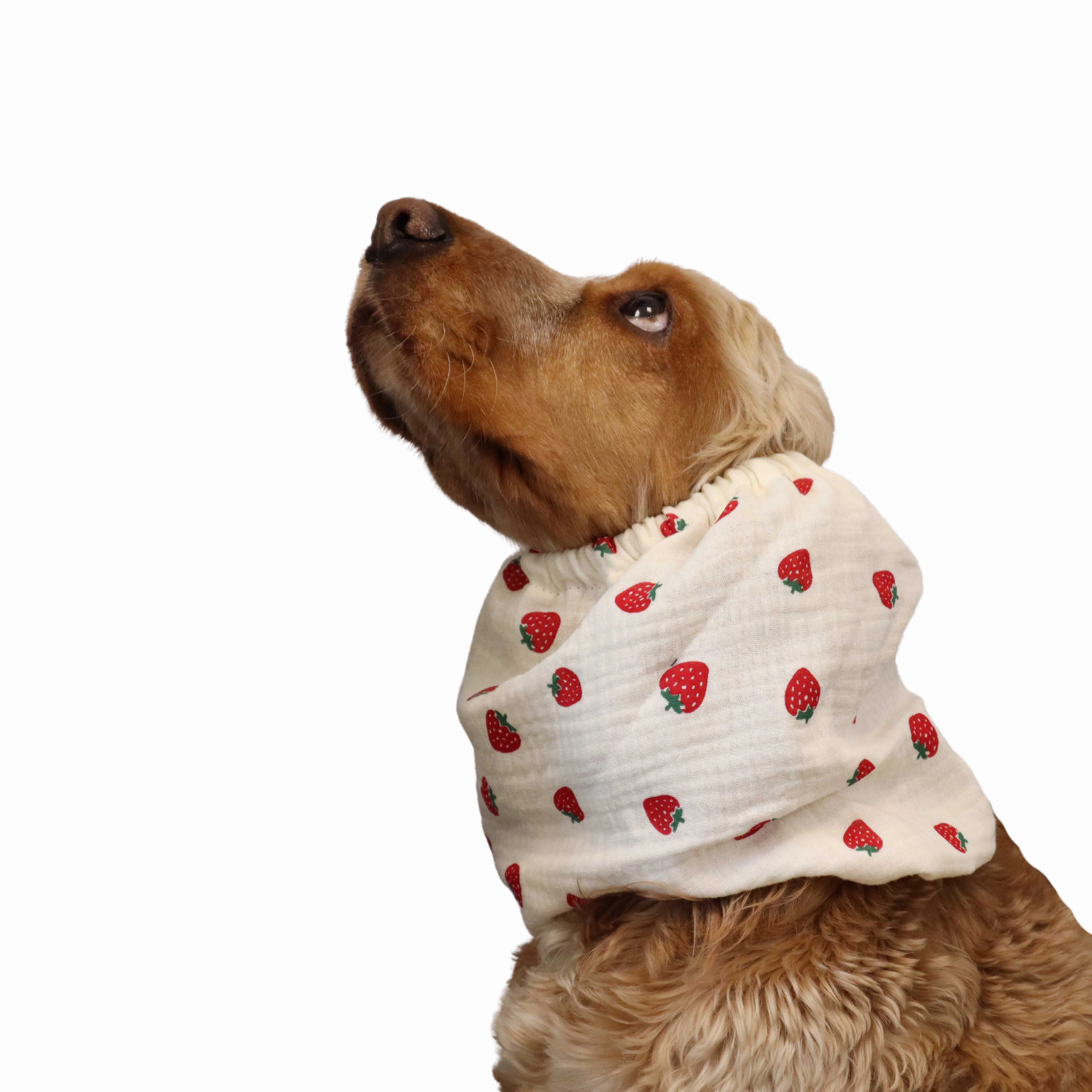 Cotton (Muslin) Dog Snood | Strawberries