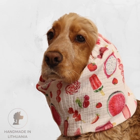Cotton (Muslin) Dog Snood | Summer Joy