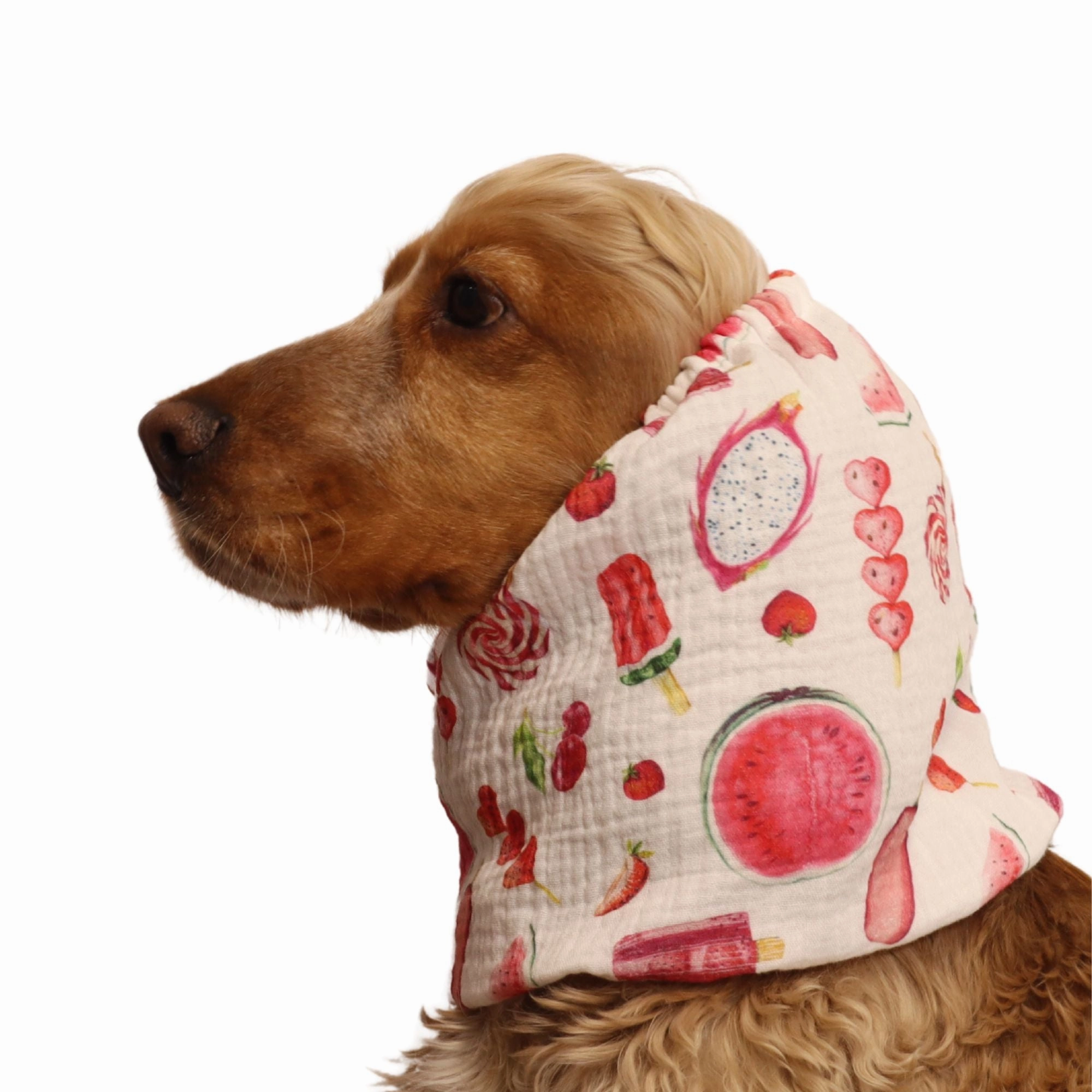 Cotton (Muslin) Dog Snood | Summer Joy