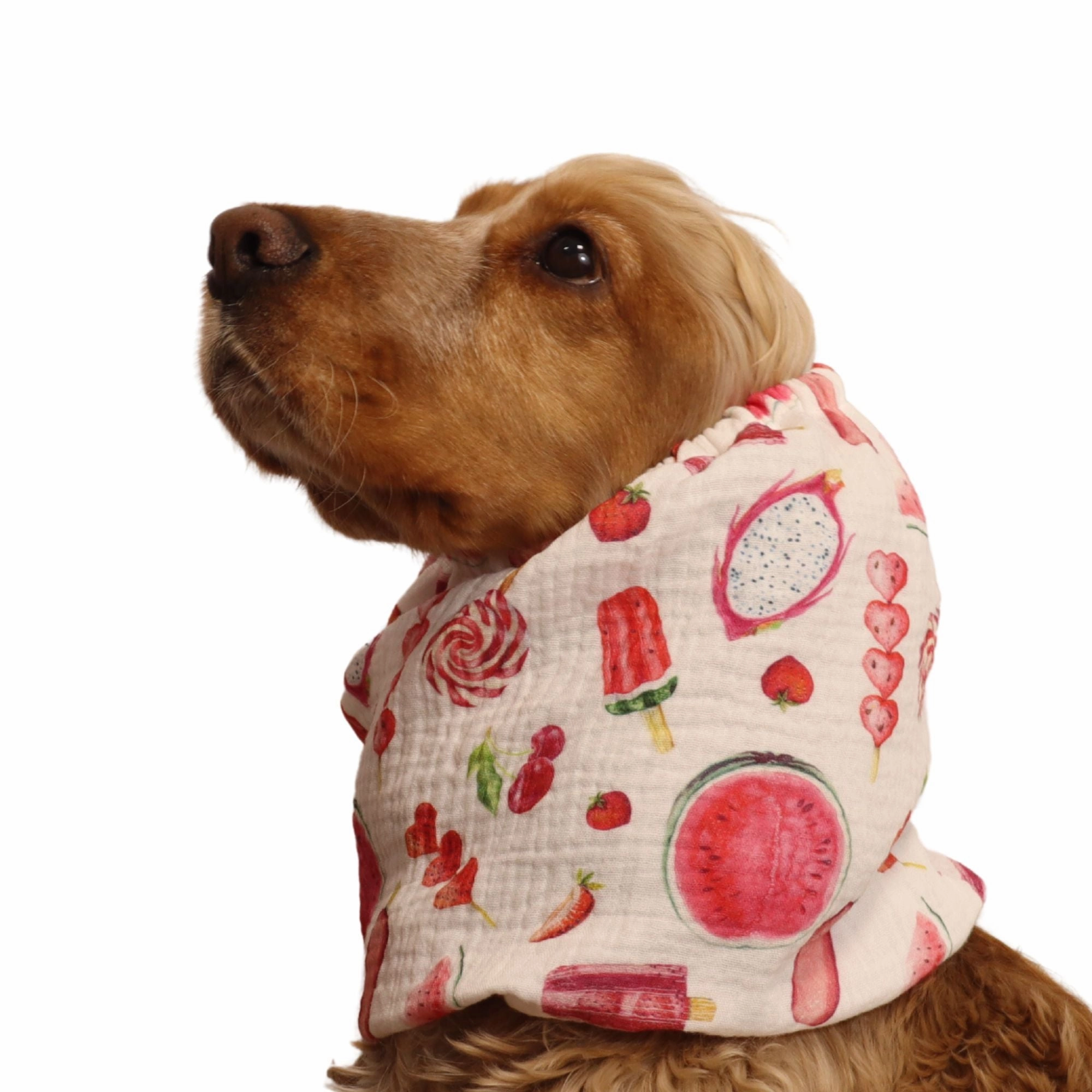 Cotton (Muslin) Dog Snood | Summer Joy
