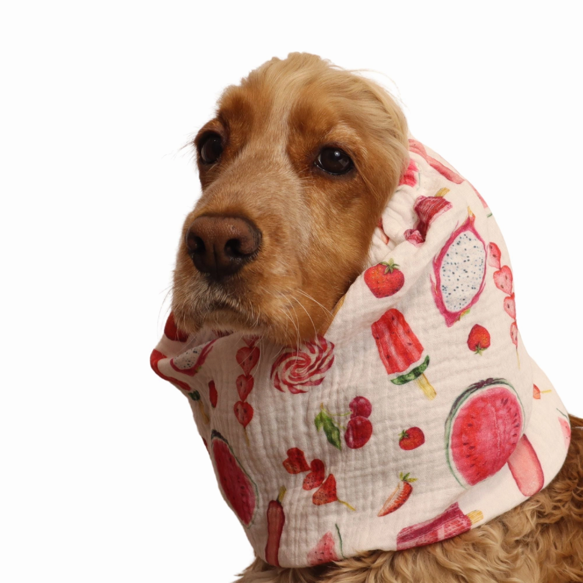 Cotton (Muslin) Dog Snood | Summer Joy