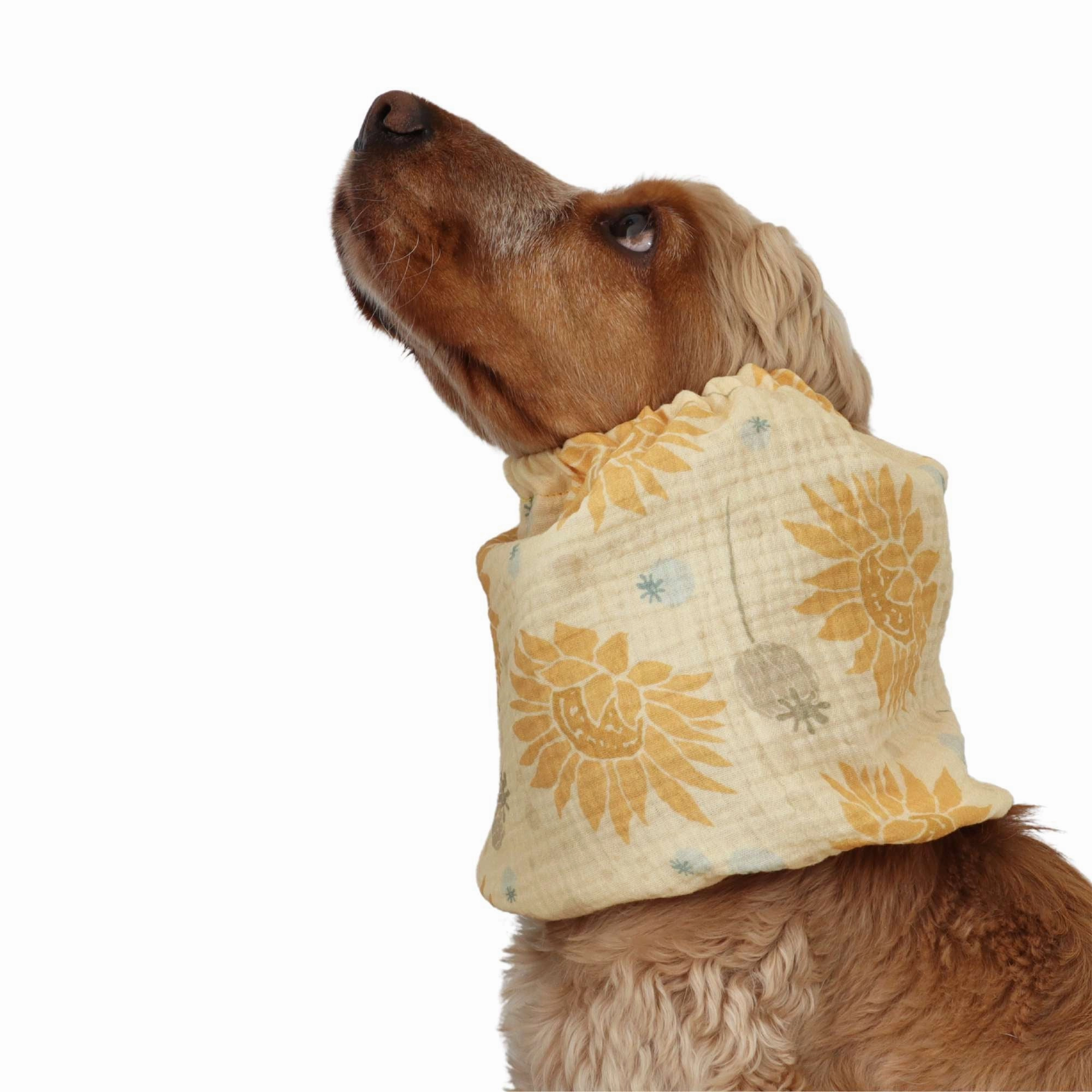 Cotton (Muslin) Dog Snood | Summer vibes