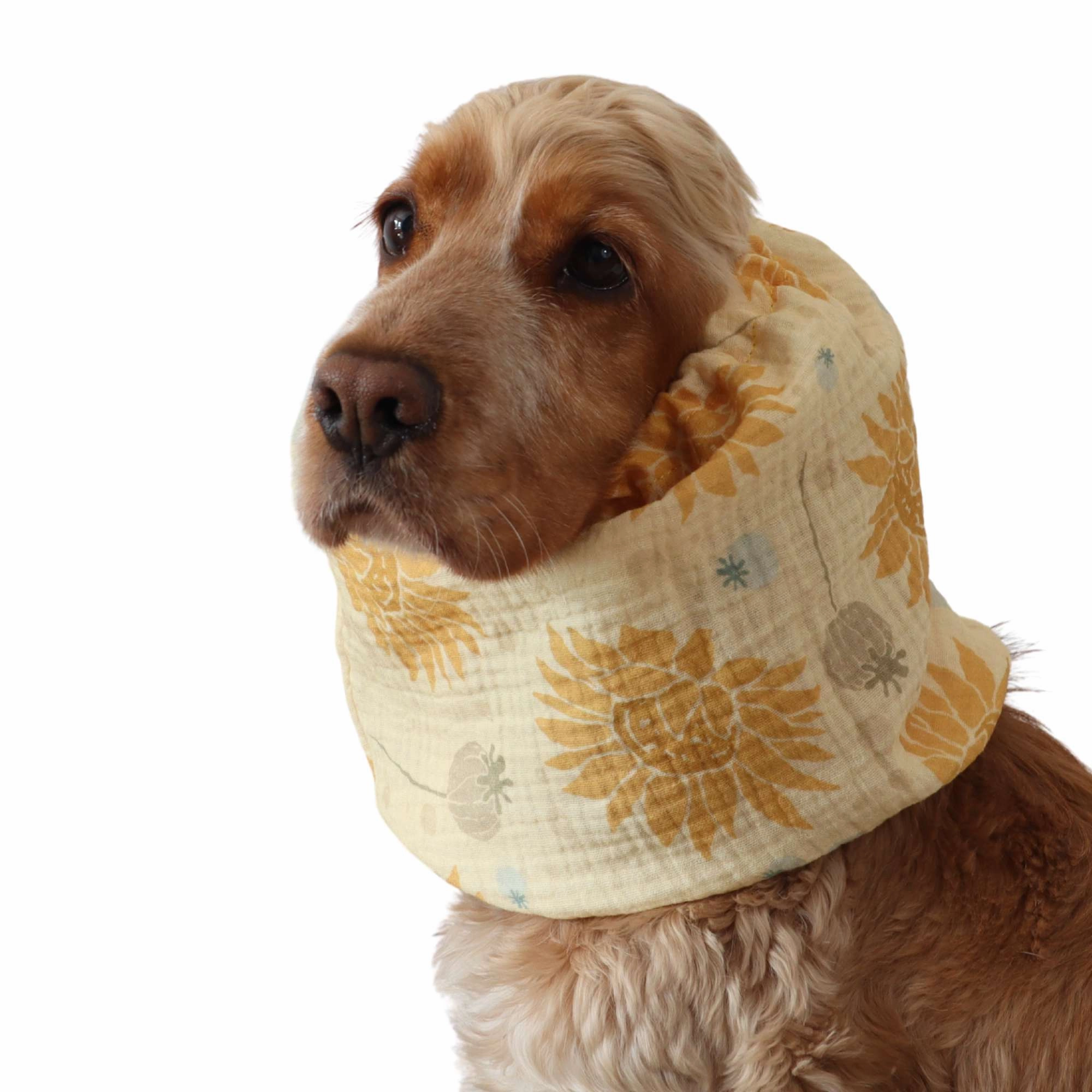 Cotton (Muslin) Dog Snood | Summer vibes