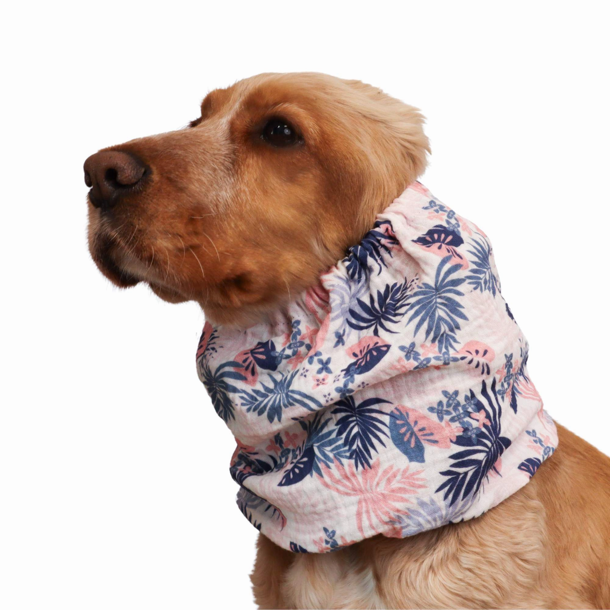 Cotton (Muslin) Dog Snood | Tropical Breeze