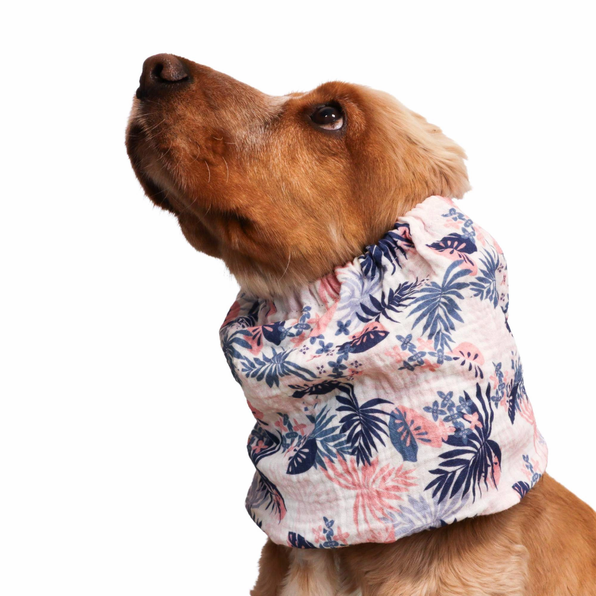 Cotton (Muslin) Dog Snood | Tropical Breeze