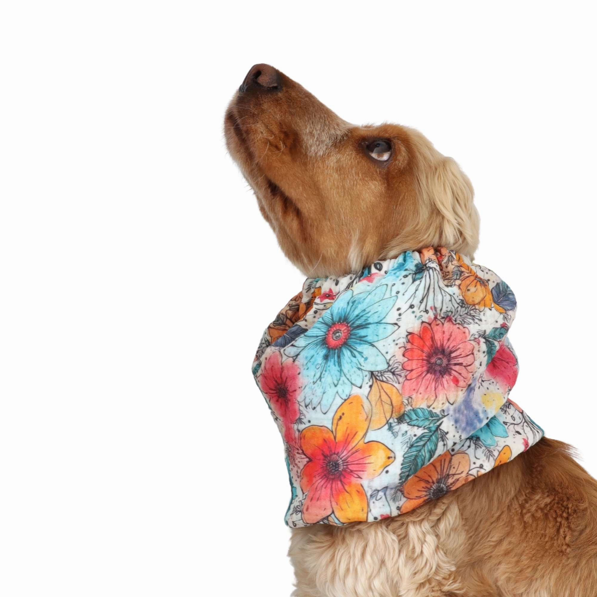 Cotton (Muslin) Dog Snood | Watercolour Blossoms
