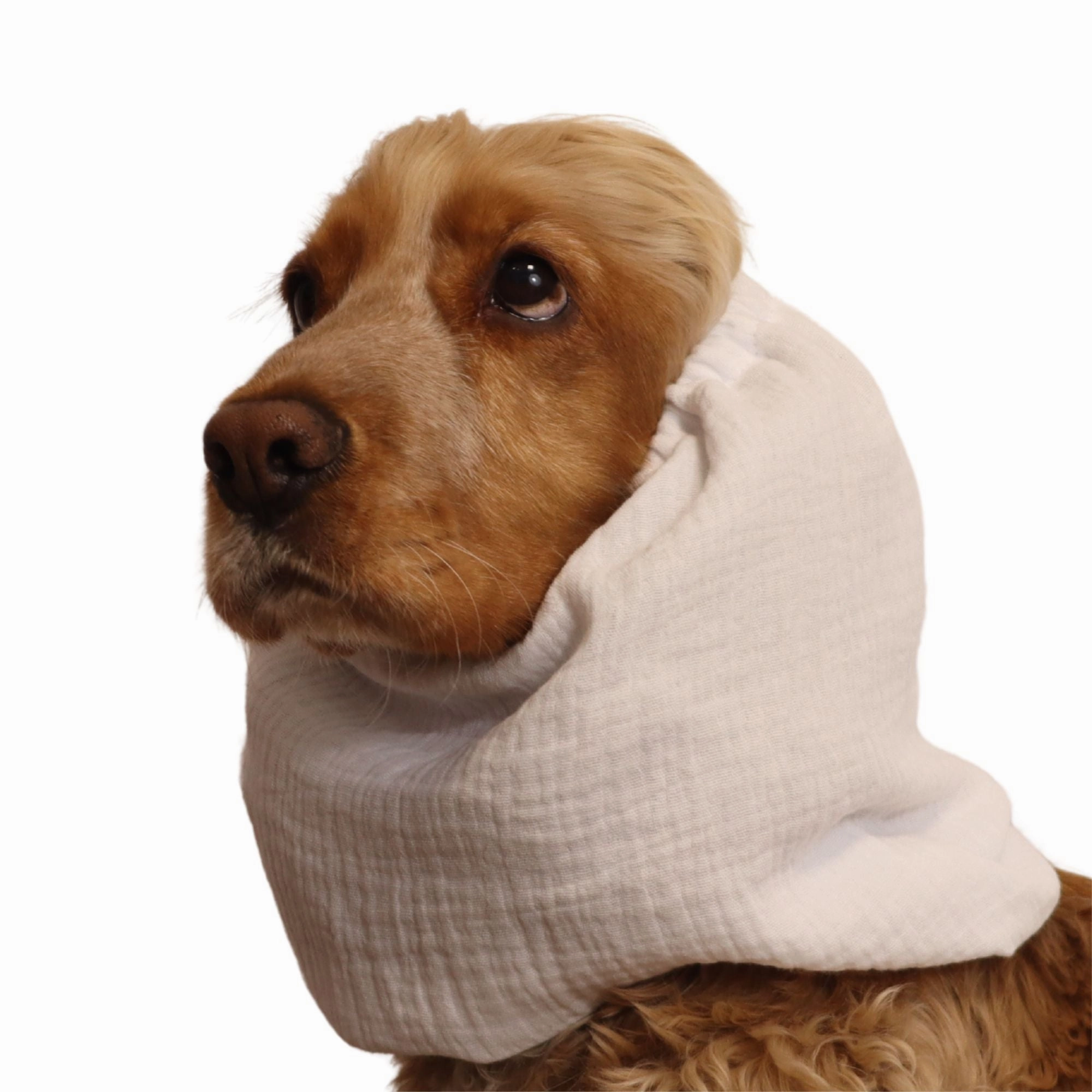 Cotton (Muslin) Dog Snood | White