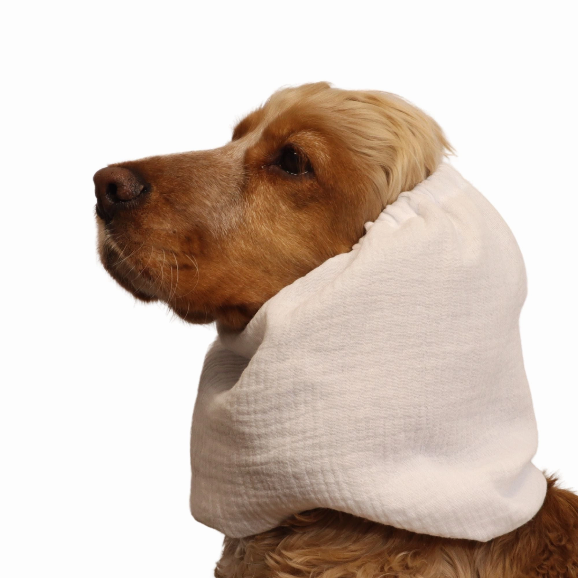 Cotton (Muslin) Dog Snood | White