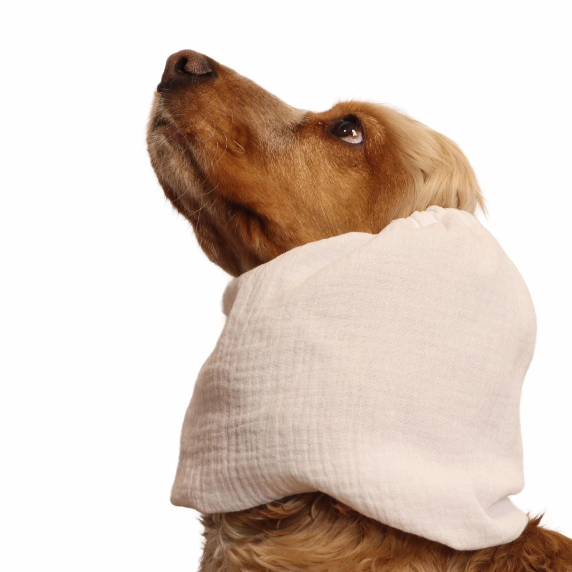 Cotton (Muslin) Dog Snood | White
