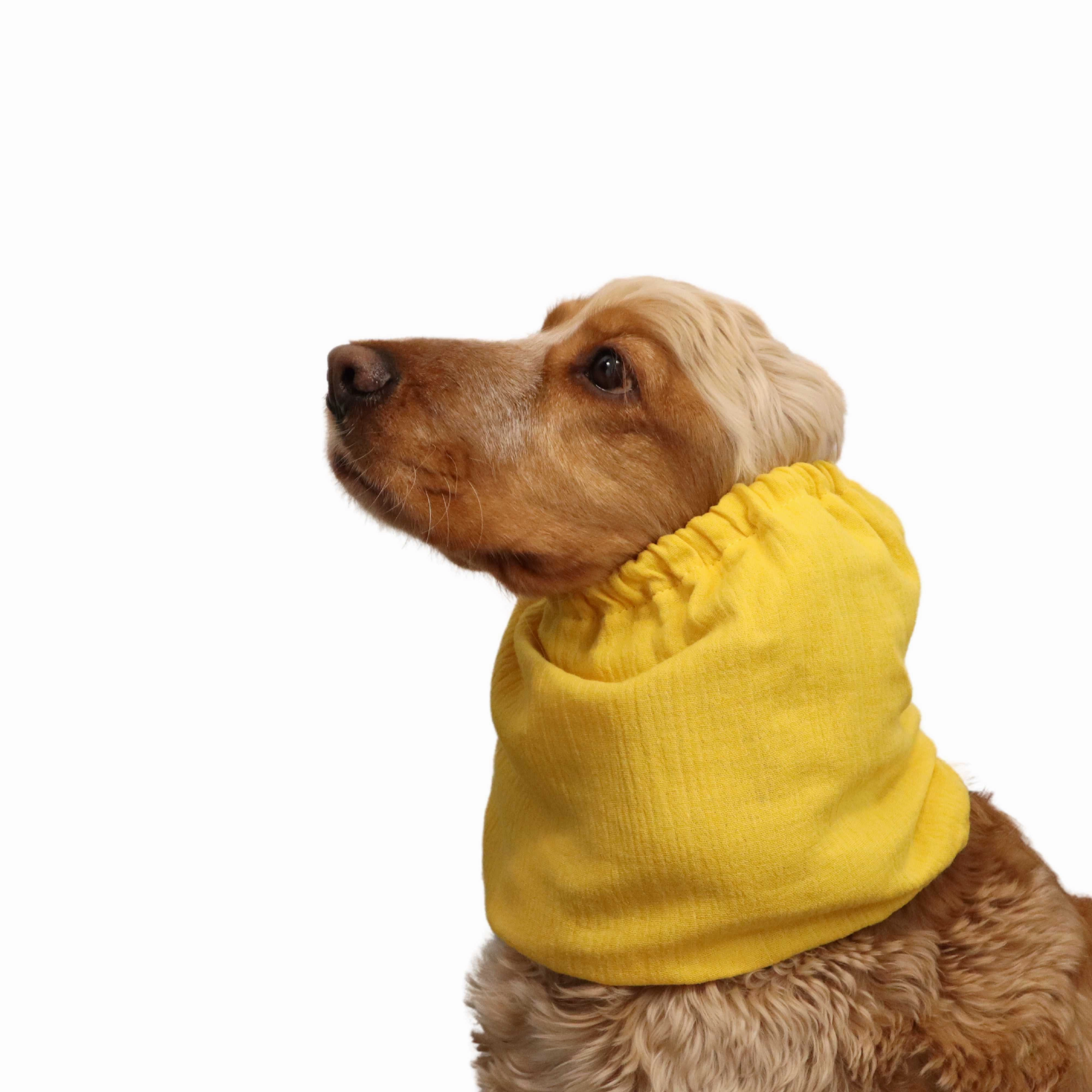 Cotton (Muslin) Dog Snood | Yellow