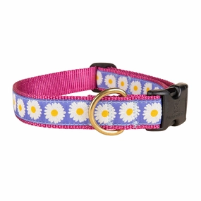 Daisies Ribbon Dog Collar