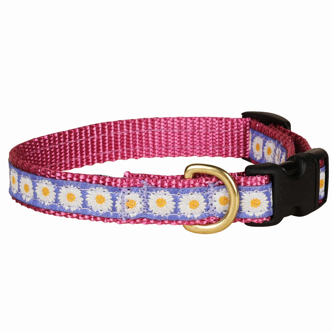 Daisies Ribbon Dog Collar