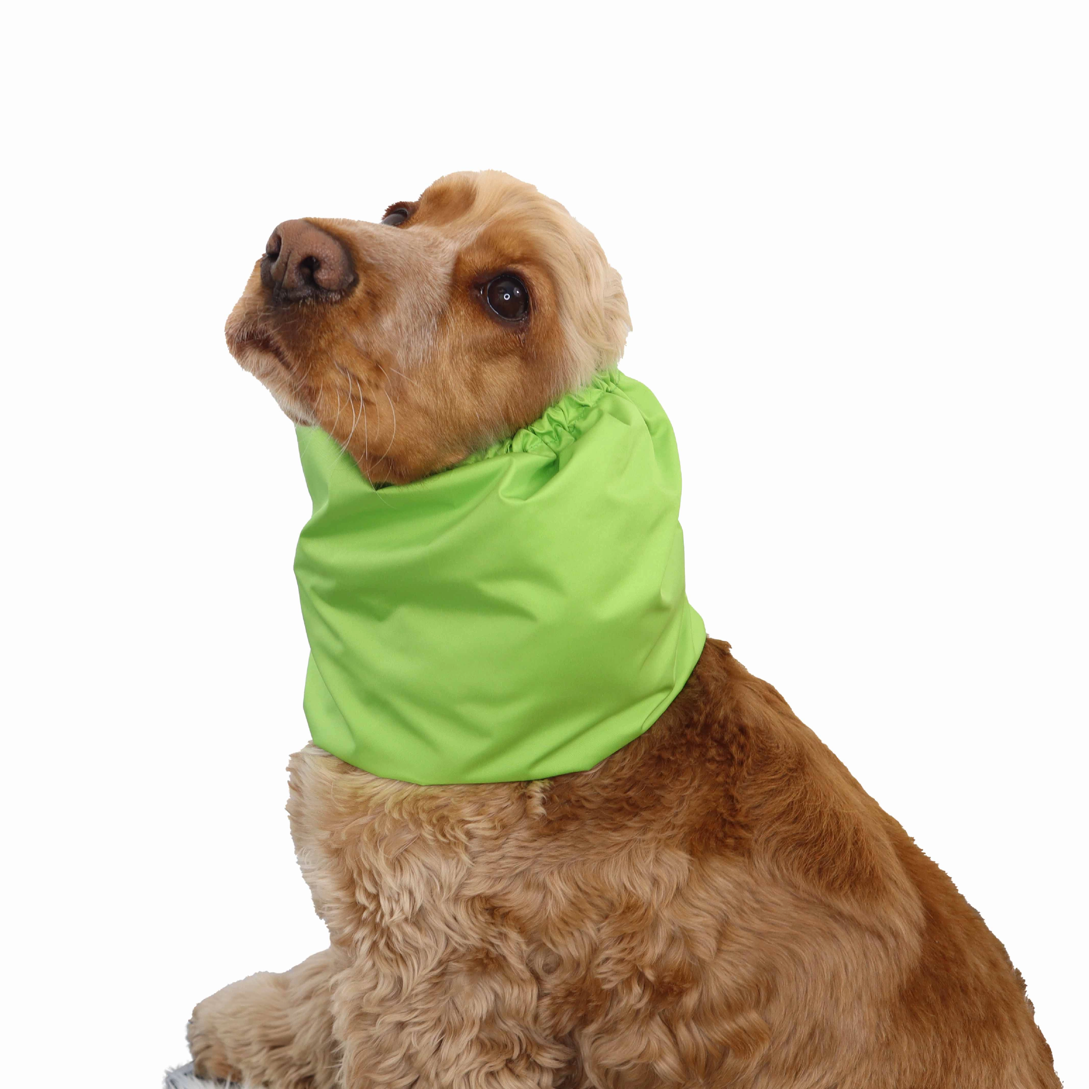 Feeding Dog Snood | Lightweight | Apple Green