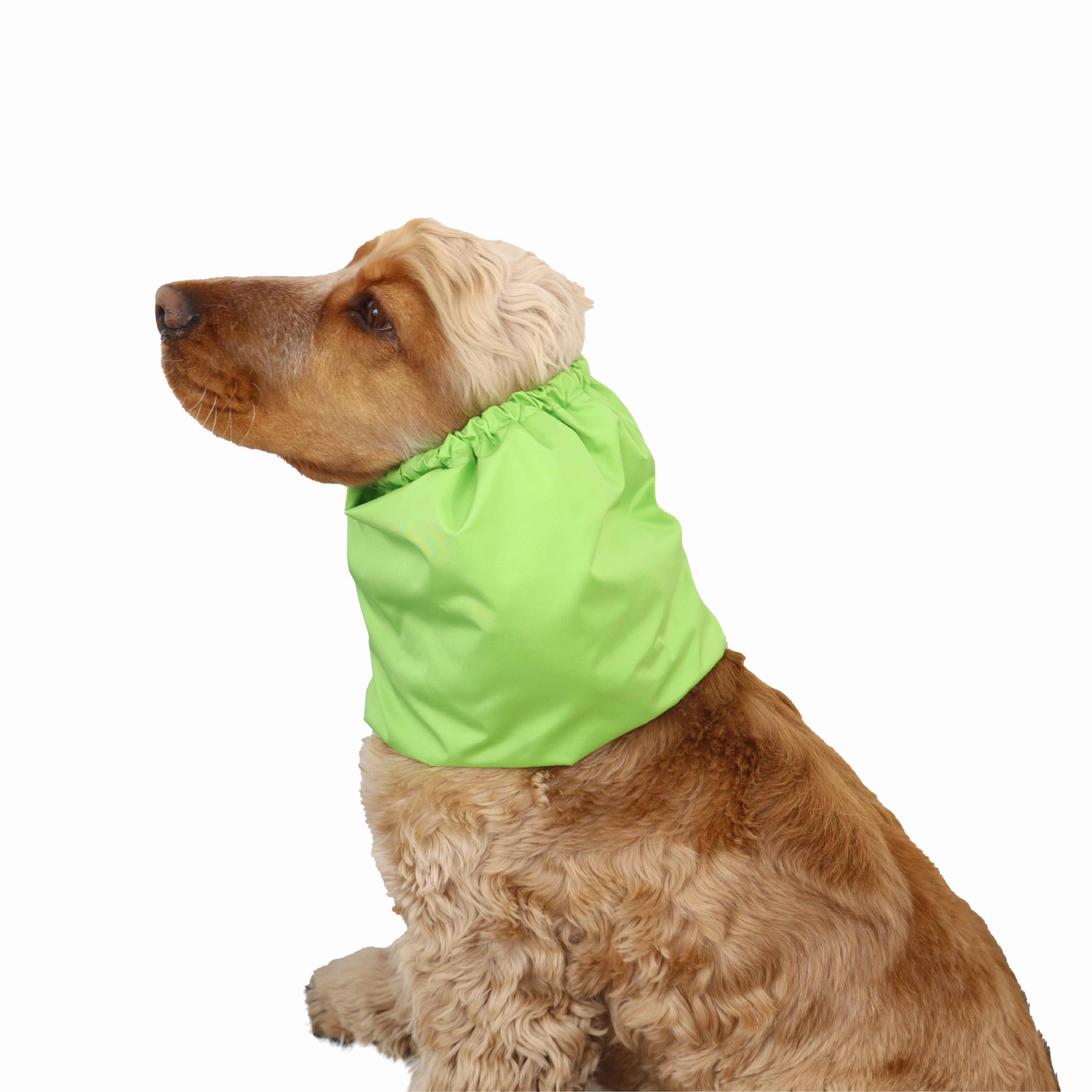 Feeding Dog Snood | Lightweight | Apple Green