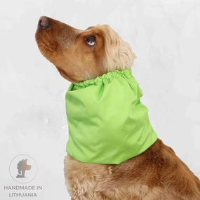 Feeding Dog Snood | Lightweight | Apple Green