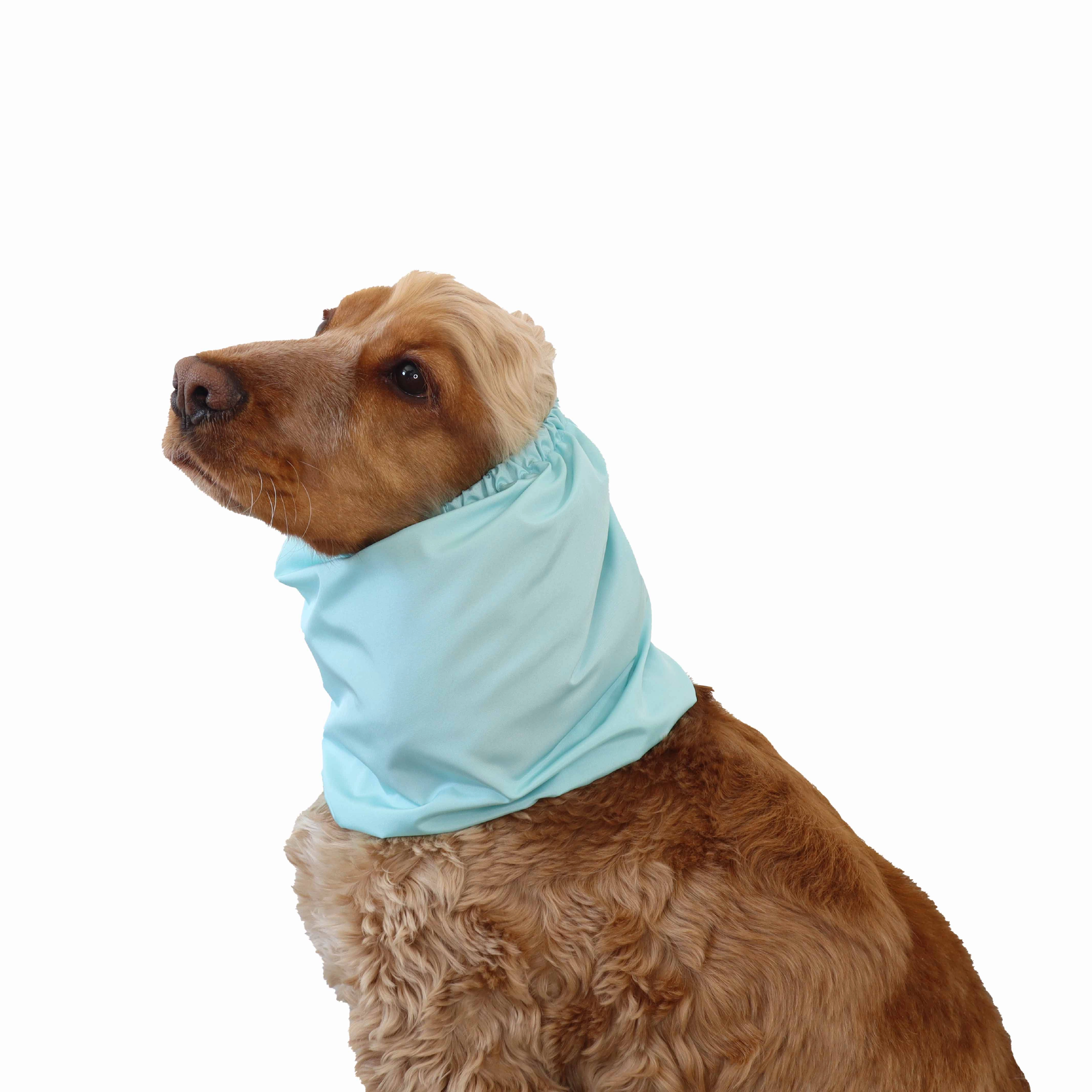 Feeding Dog Snood | Lightweight |  Aqua Blue