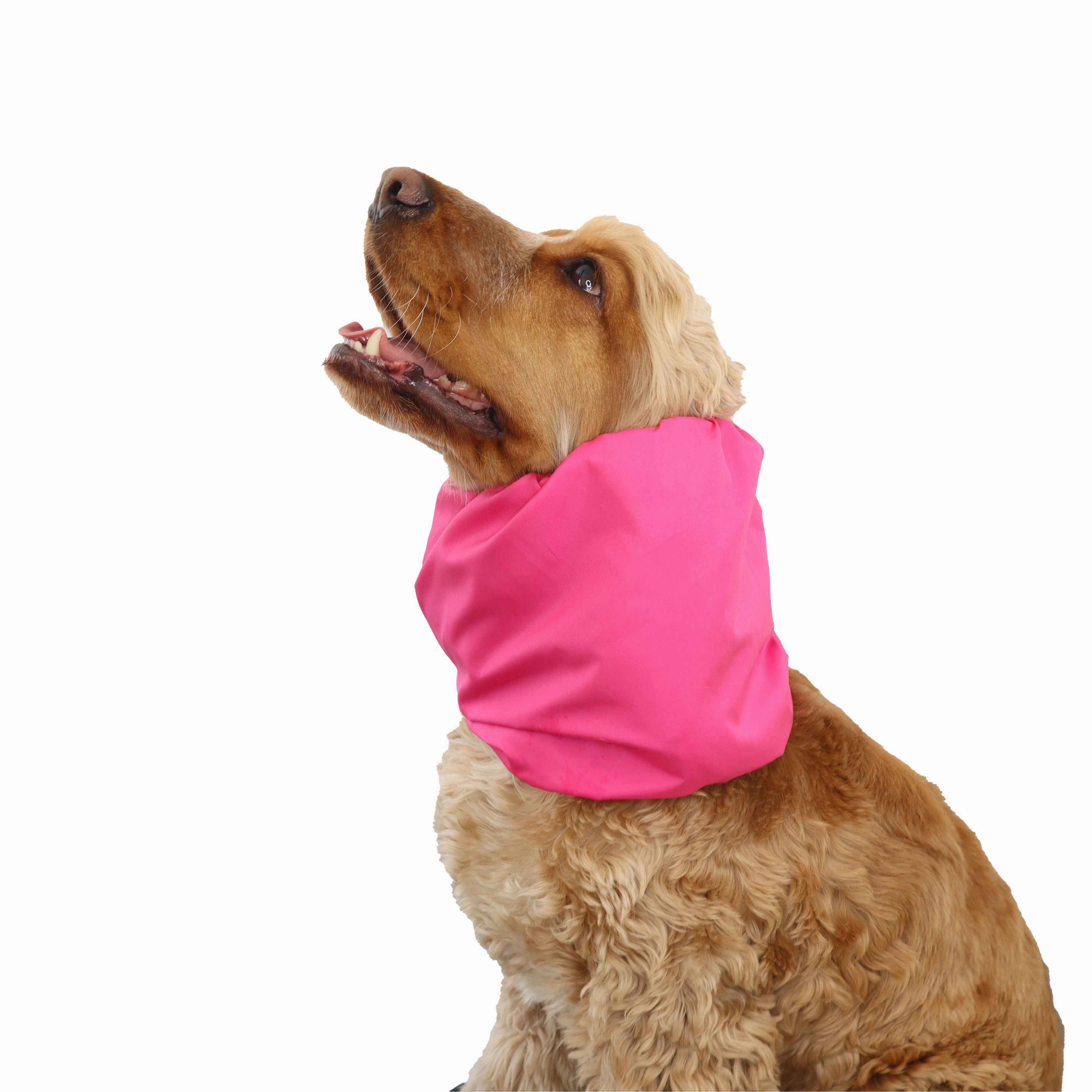 Feeding Dog Snood | Lightweight | Barbie Pink