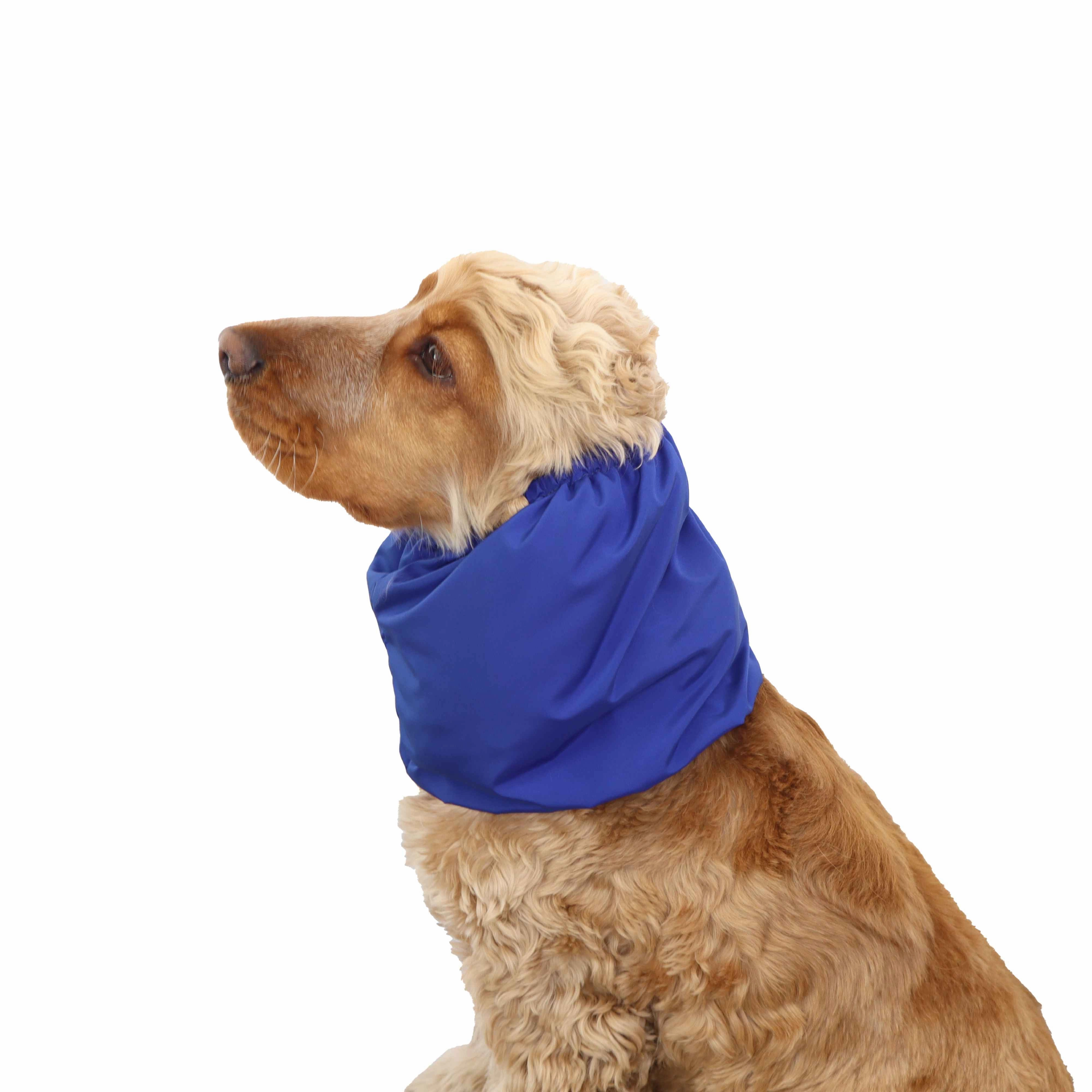Feeding Dog Snood | Lightweight | Blue