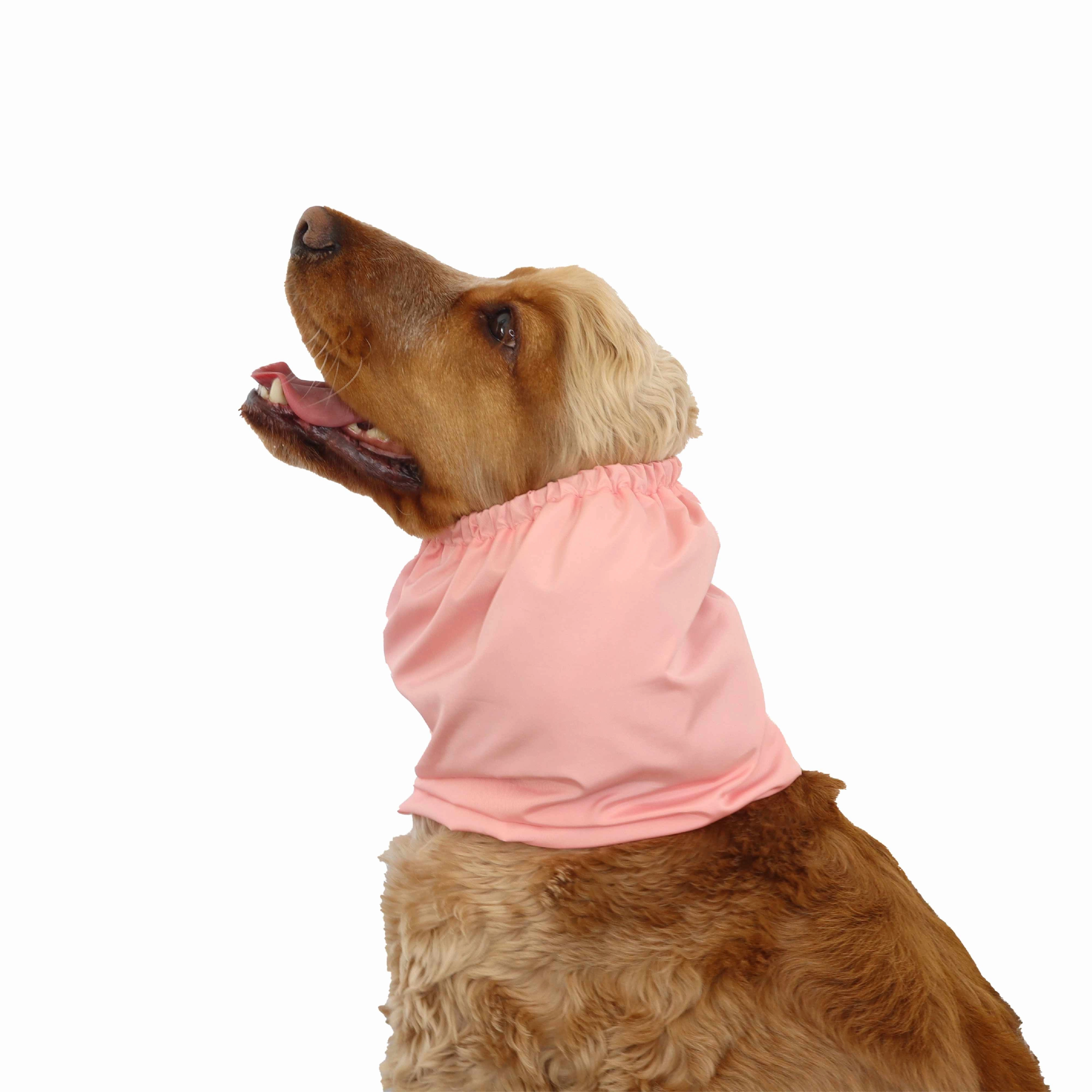 Feeding Dog Snood | Lightweight | Light Pink
