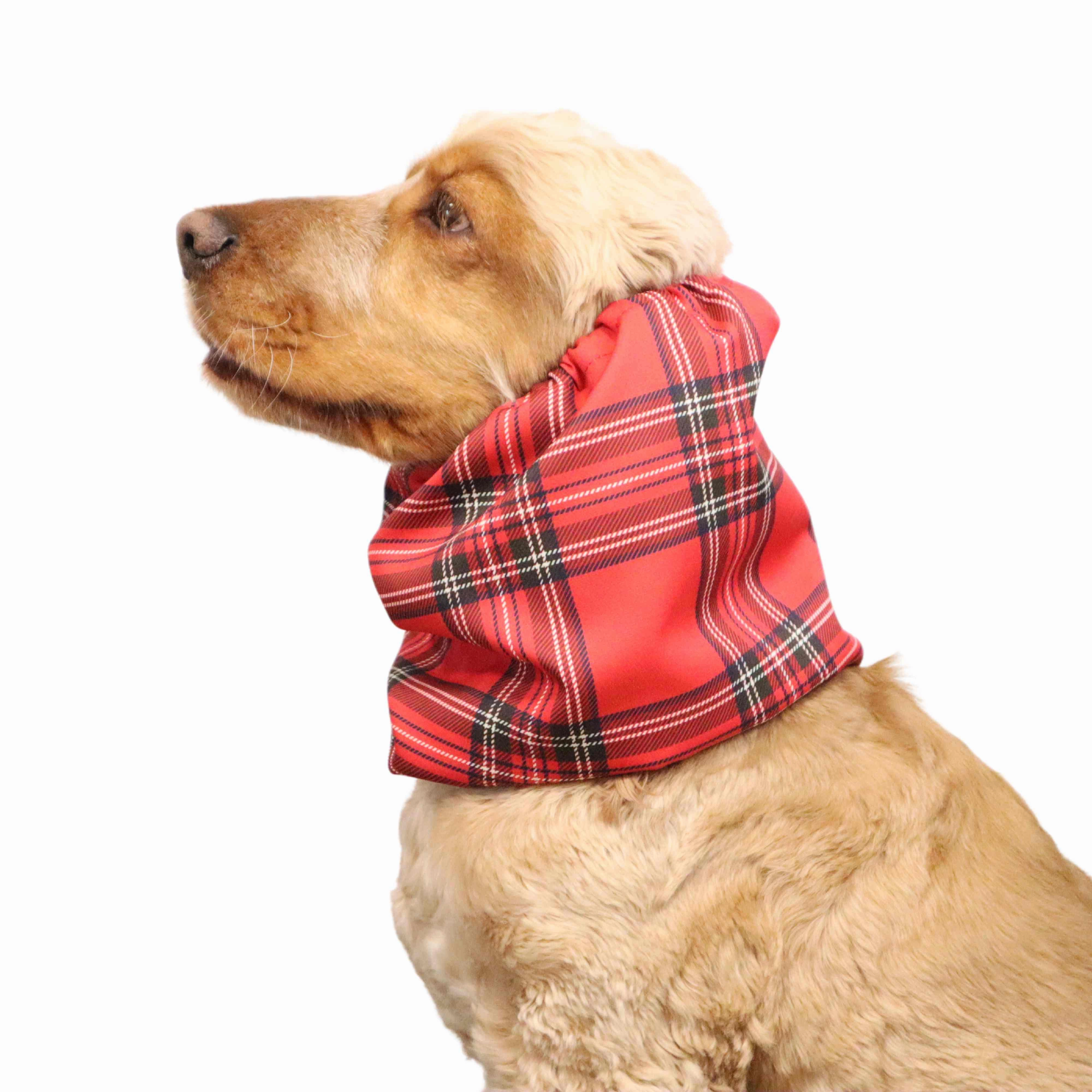 Feeding Dog Snood | Lightweight | Red Tartan