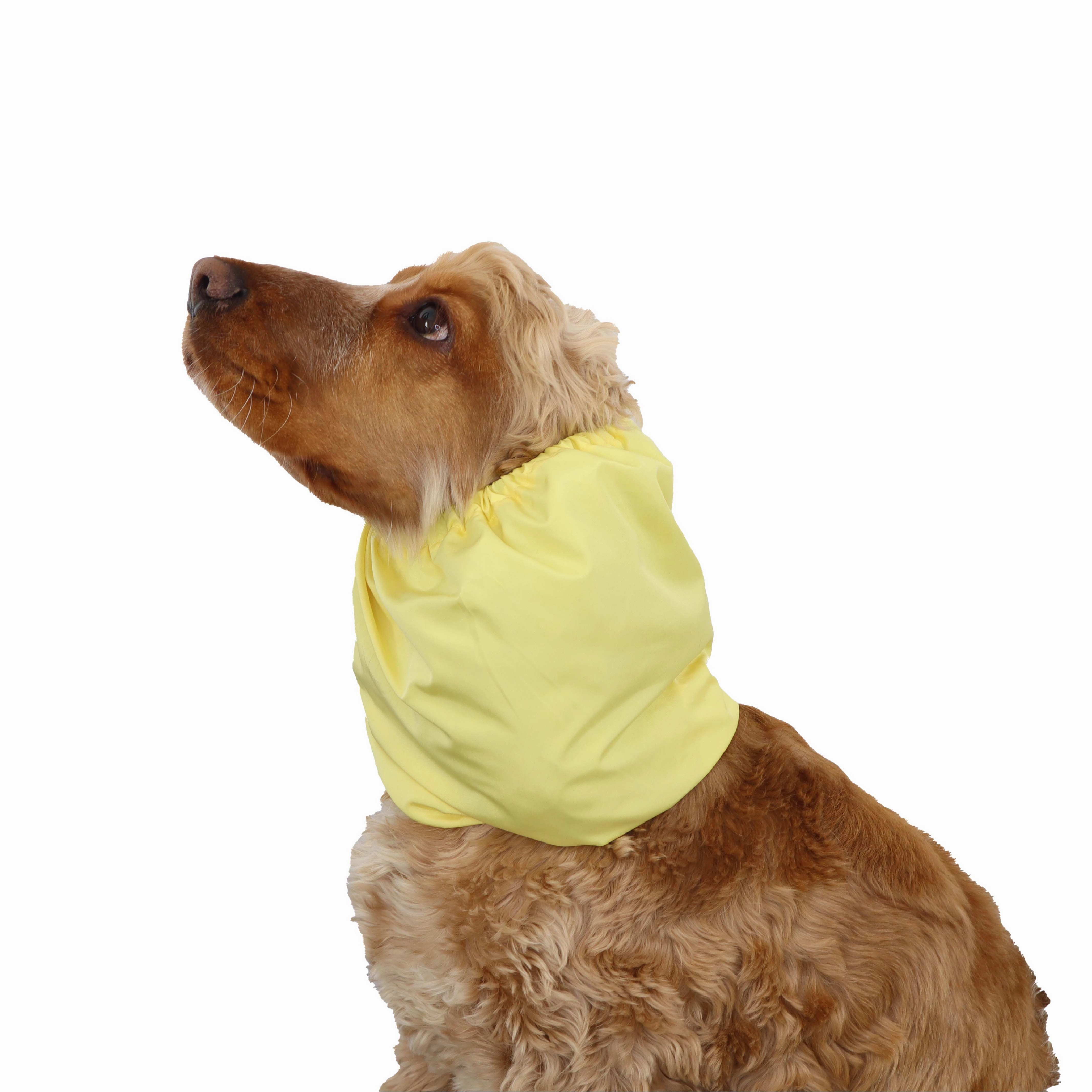 Feeding Dog Snood | Lightweight | Yellow