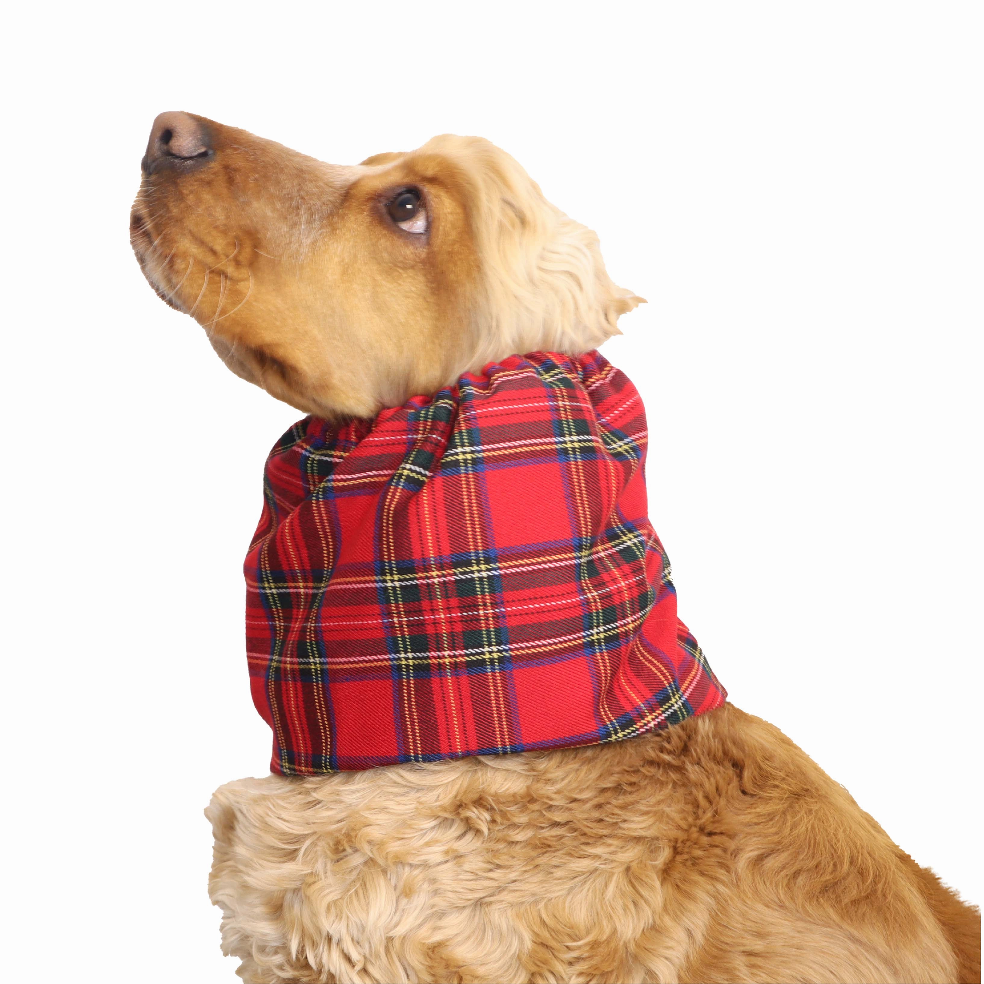 Flannel Red Dog Snood | Classic Tartan