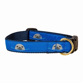 Harbor Seal Ribbon Dog Collar