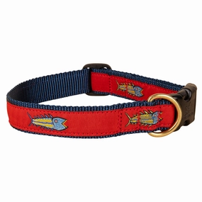Hopkins Fish Ribbon Dog Collar