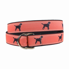 Labrador Retriever Ribbon D-Ring Belt