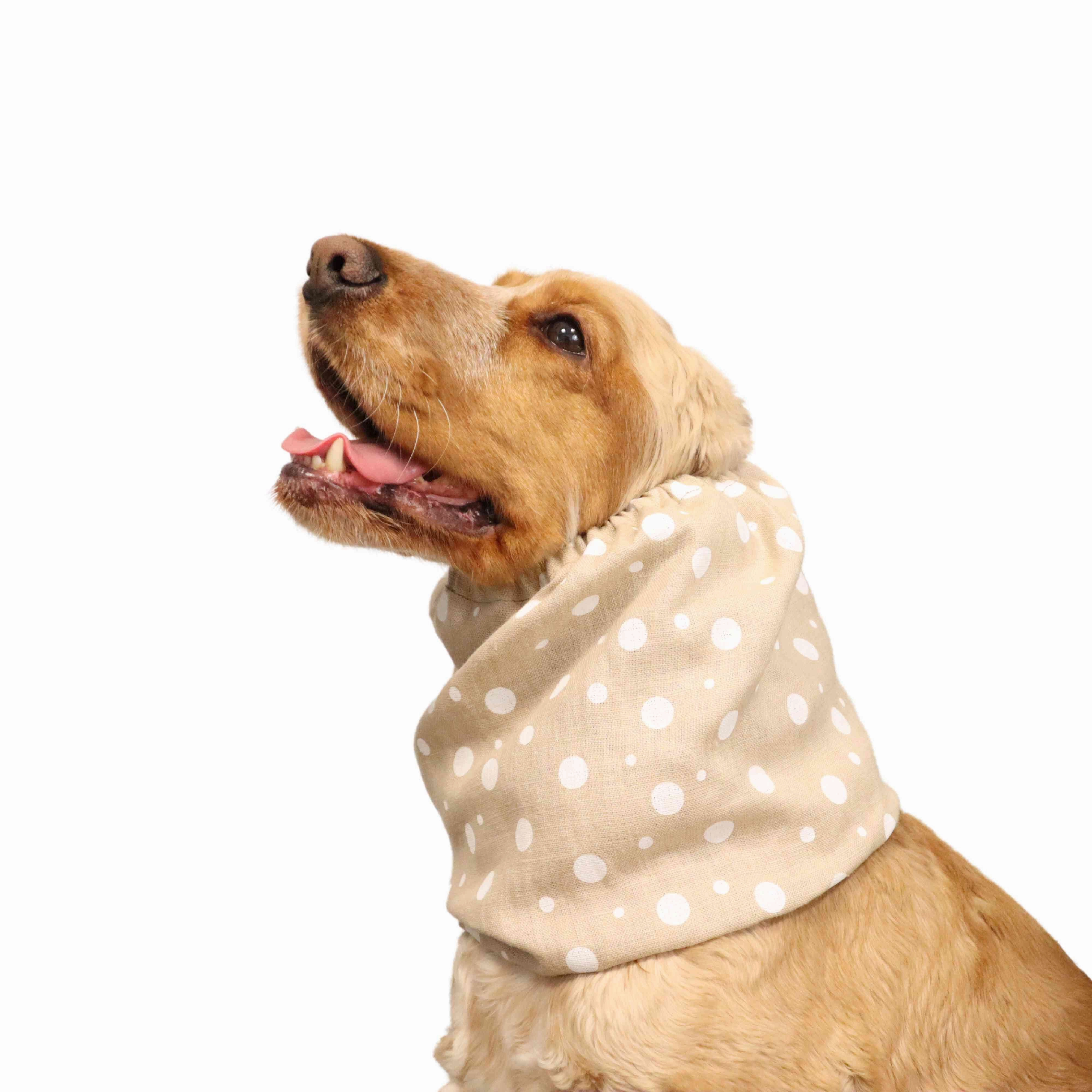Linen Dog Snood | Beige Dots